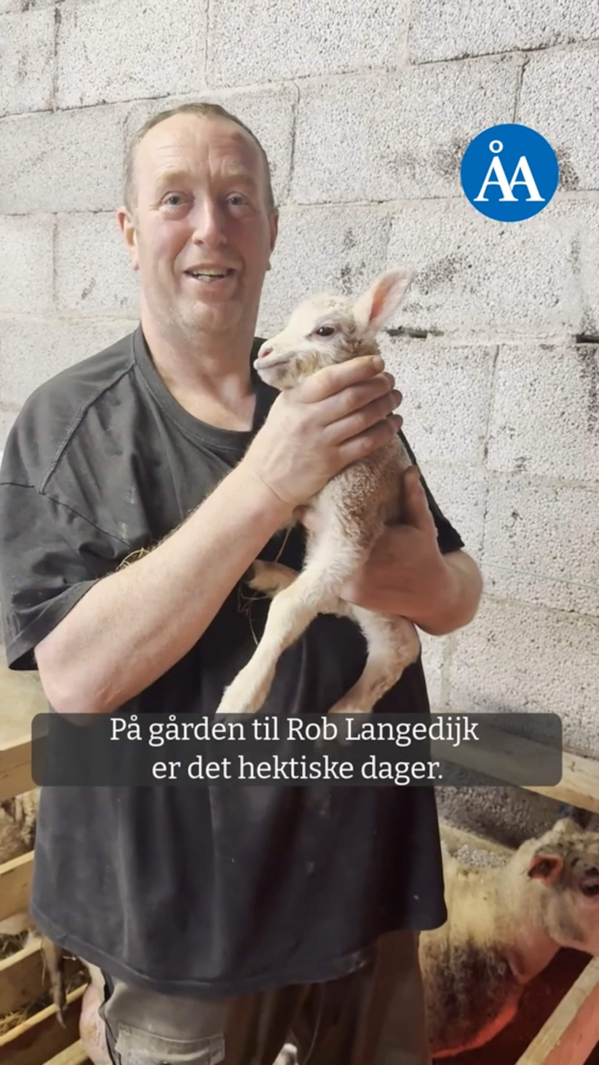 Vår i fjøset