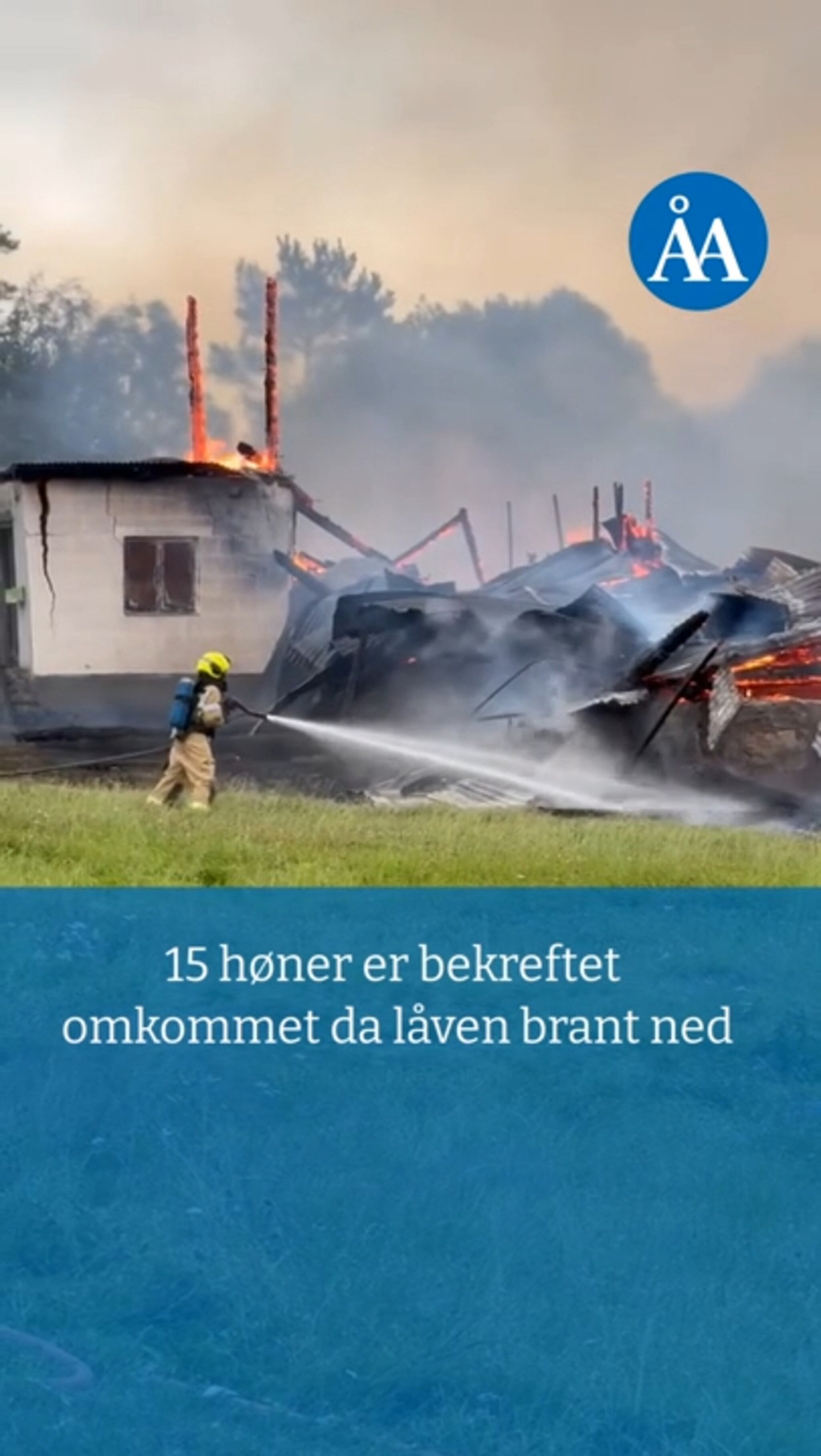 Låven brant ned med 15 høner