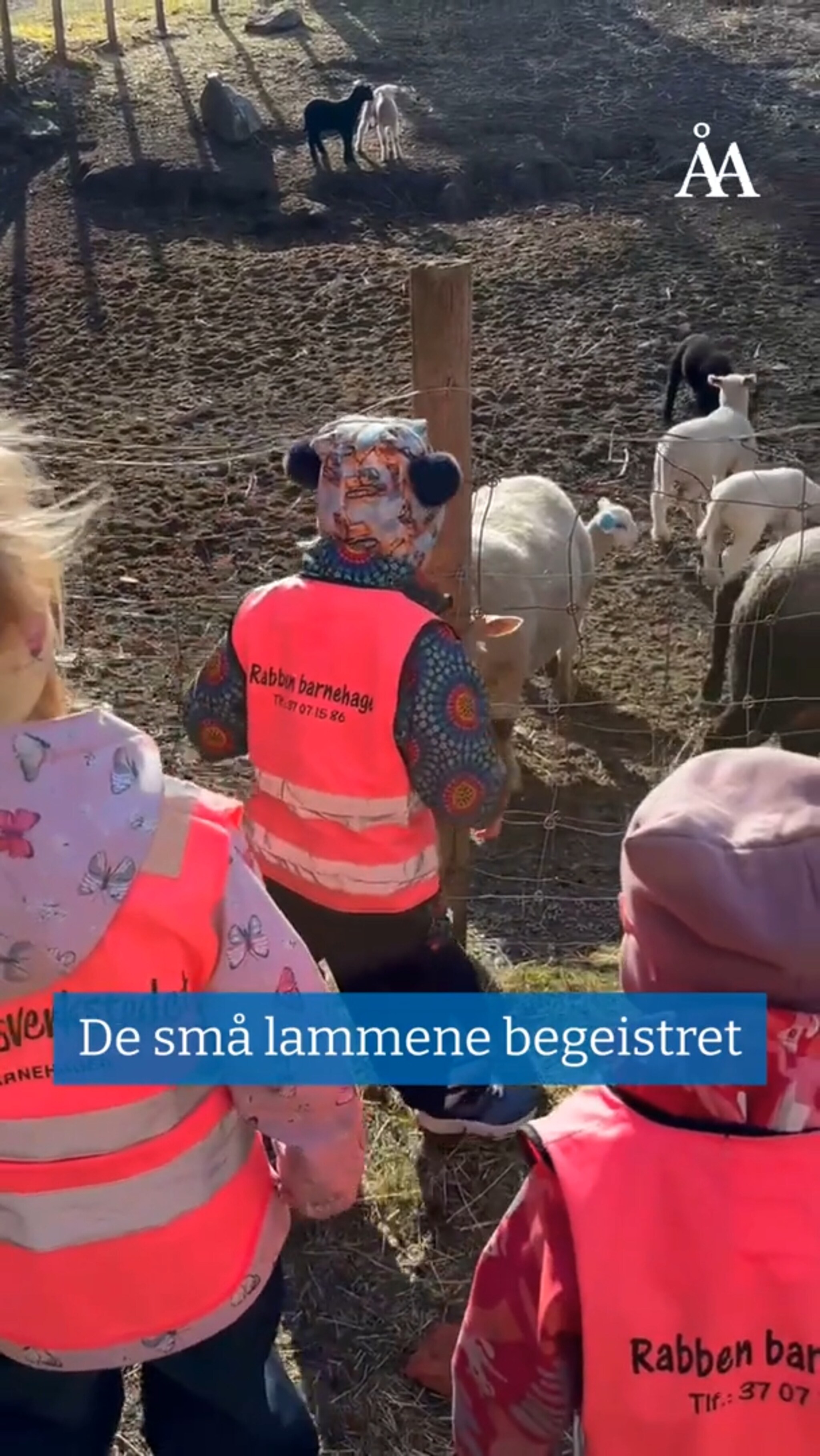 Barnehagebarna på gårdsbesøk