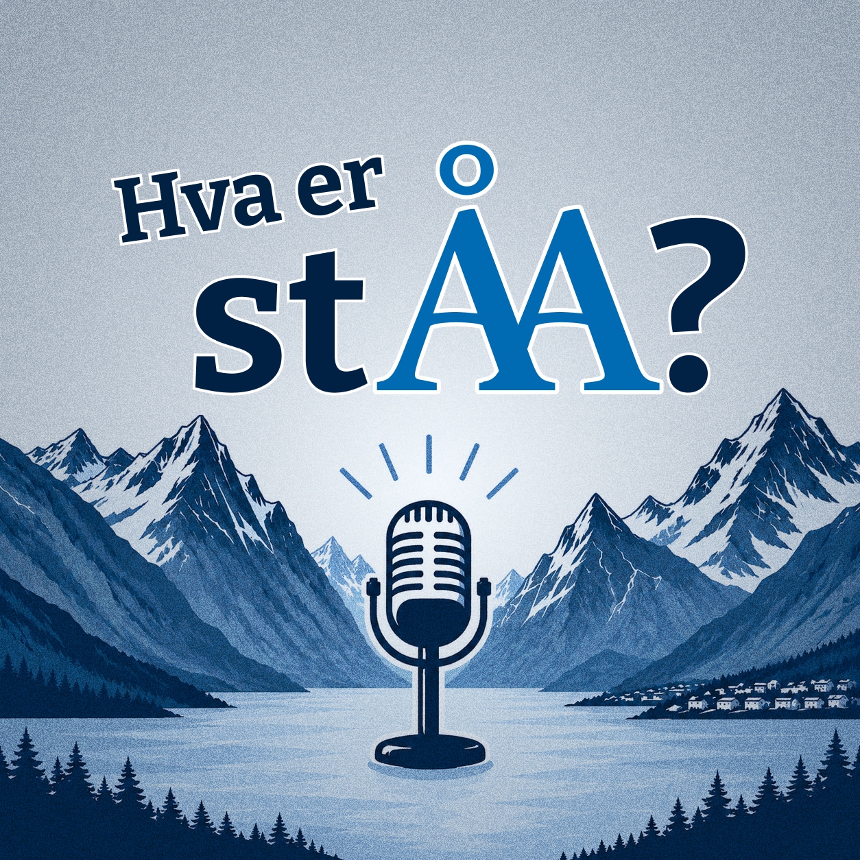 Image for Hva er stÅA?