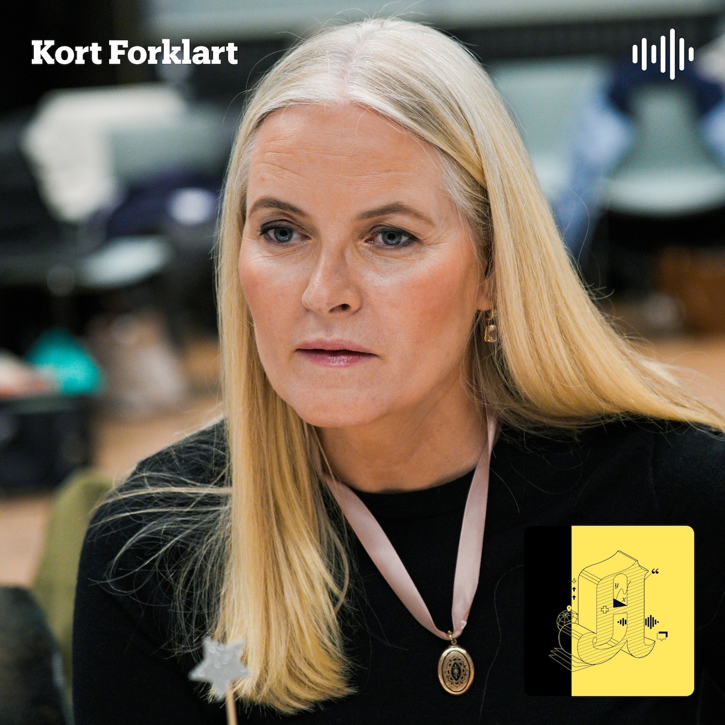 Kort Forklart: Kronprinsesse Mette-Marit nevnt flere hundre ganger i nytt Epstein-materiale