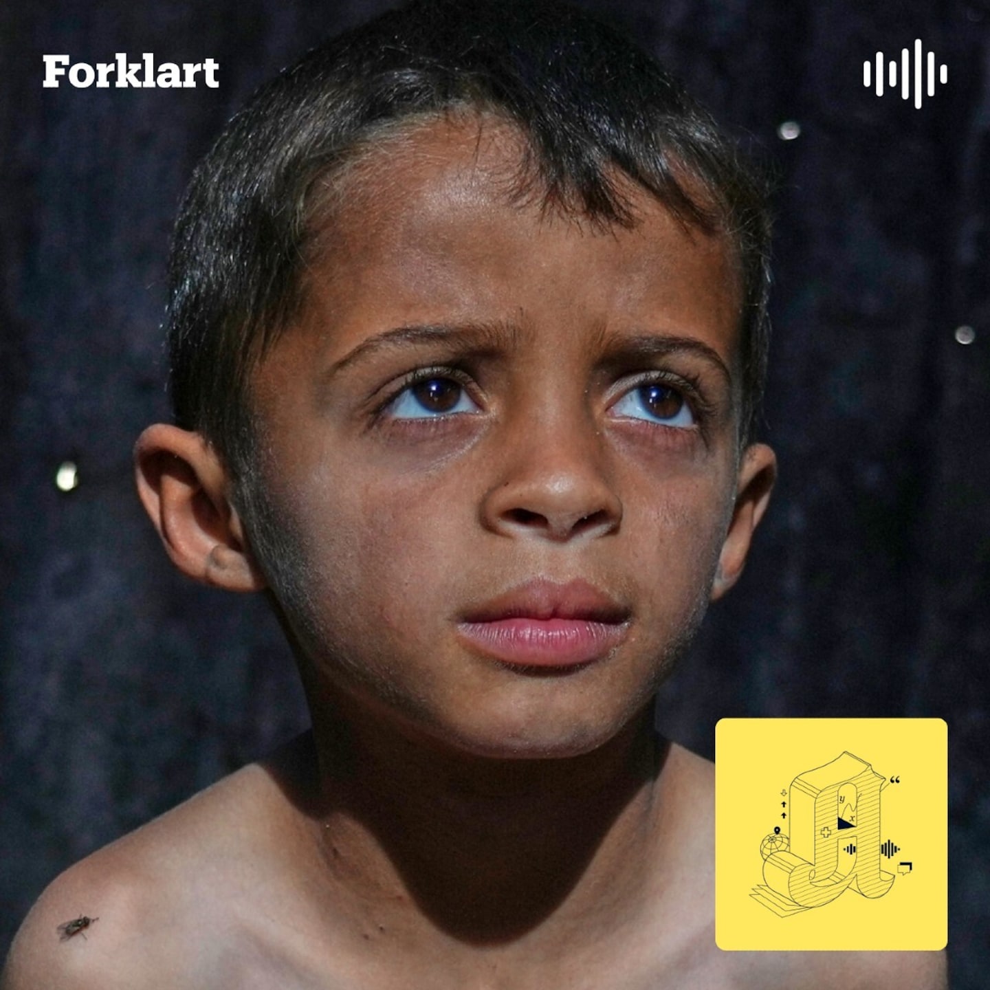 Folkemord: Er de umulig å forhindre? (2:2)