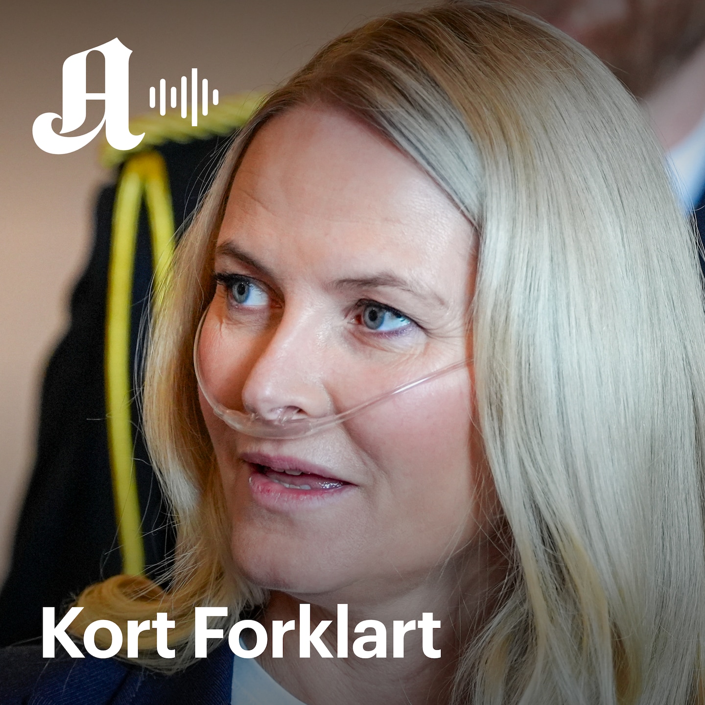 Kort Forklart: Kronprinsessen p&aring; transplantasjonsliste: &ndash; En operasjon med stor risiko