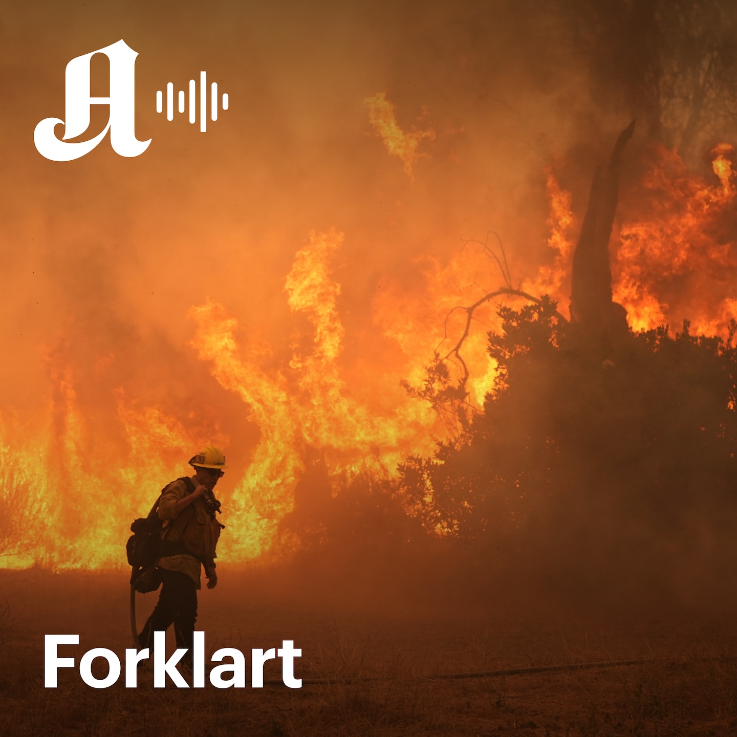 Frykten for «Super-El Niño» øker: Sånn kan det påvirke deg. — Forklart cover