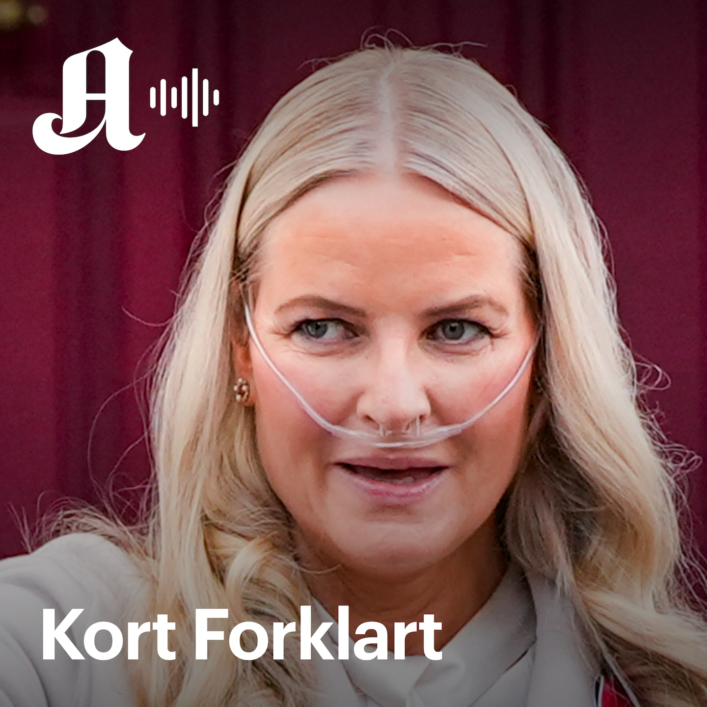 Kort Forklart: Familien reiser hjem til syk kronprinsesse, og Trump skjelte ut Netanyahu