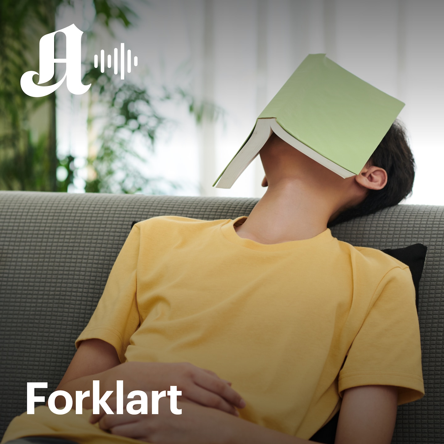 &Oslash;kningen i IQ har snudd. Blir vi dummere og dummere?