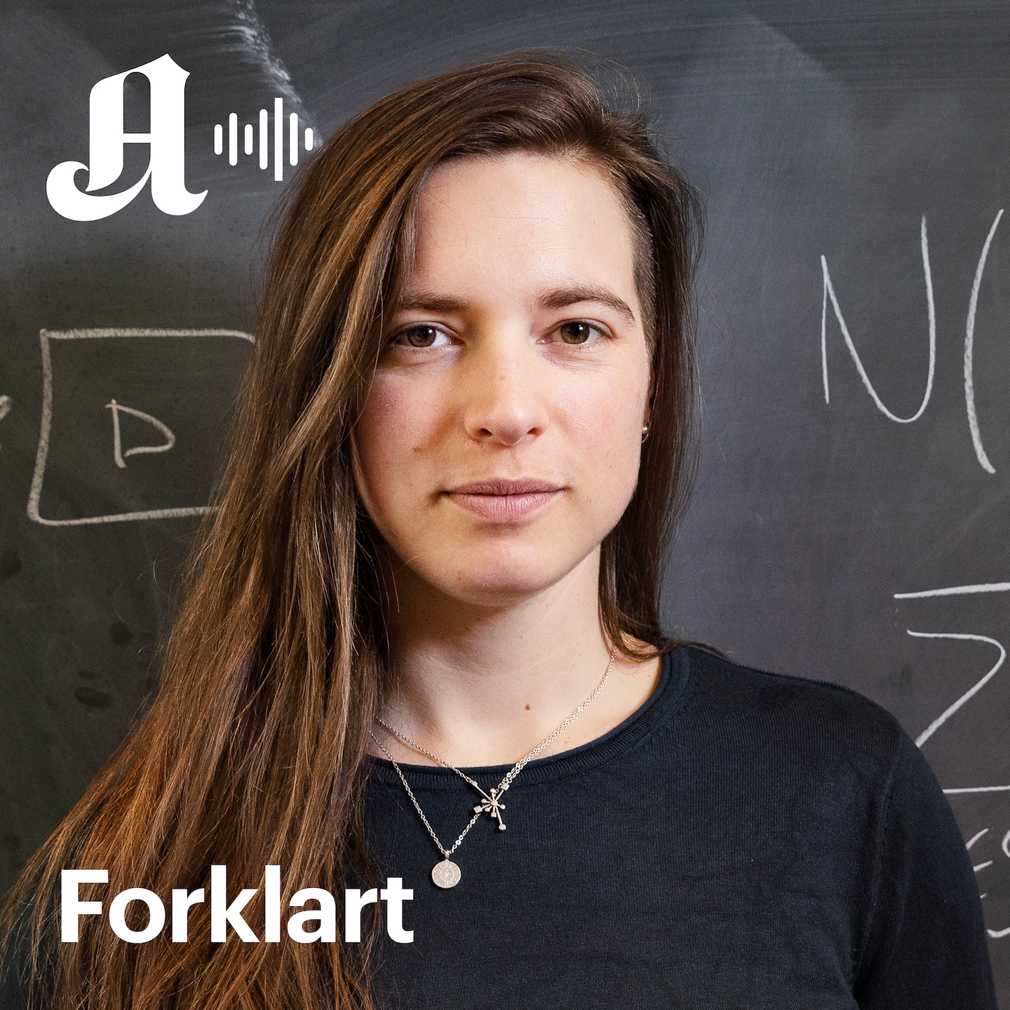 Foreleserne gruer seg til å undervise: – Det føles litt uverdig episode artwork