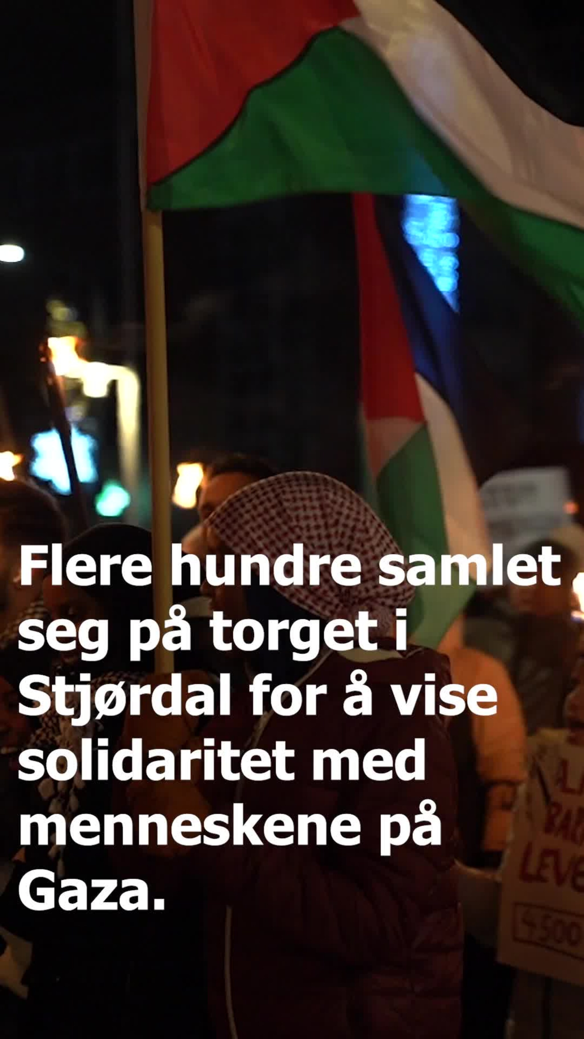 Demonstrasjon for Palestina