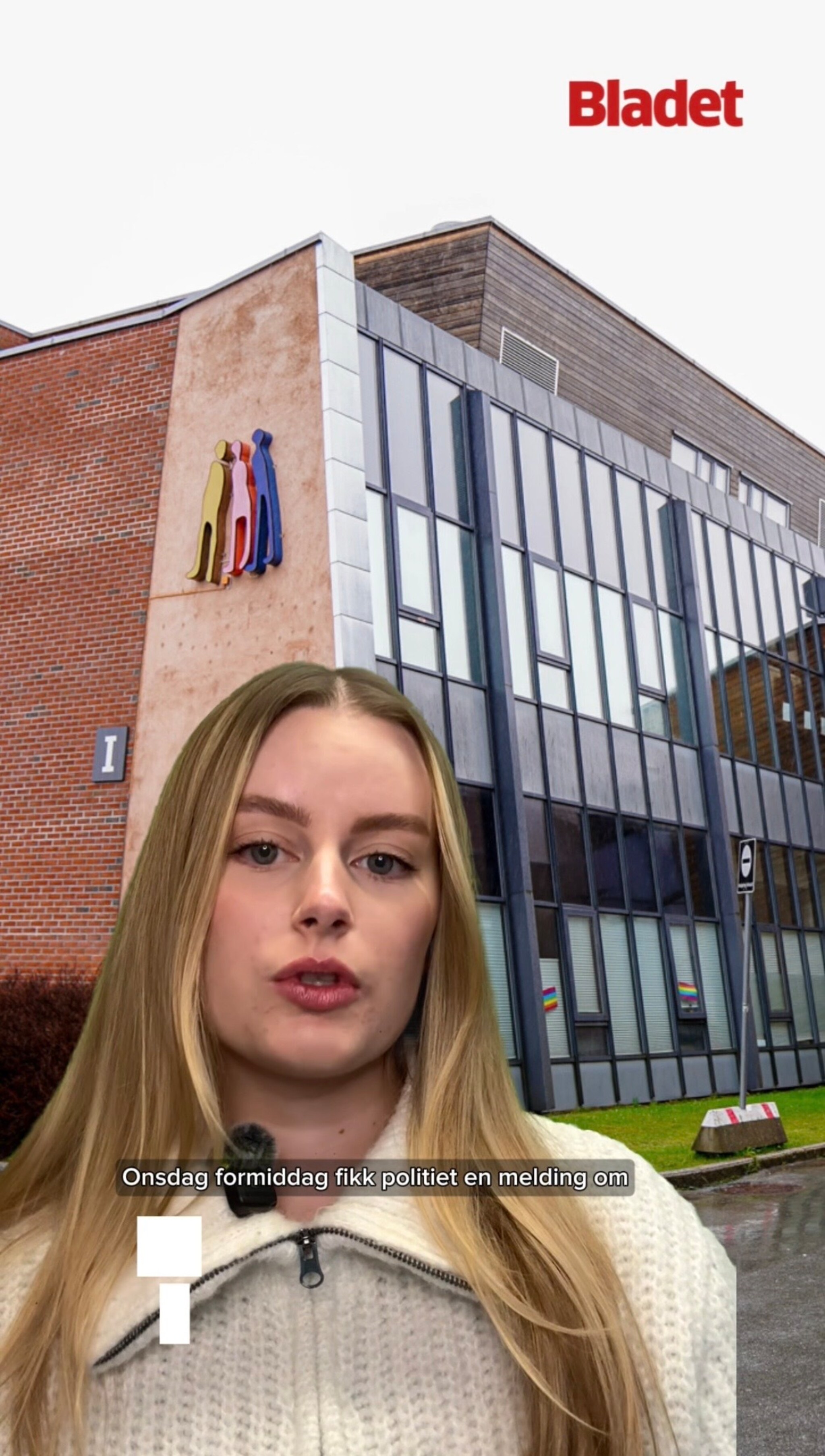 Skadeverk på Ole Vig