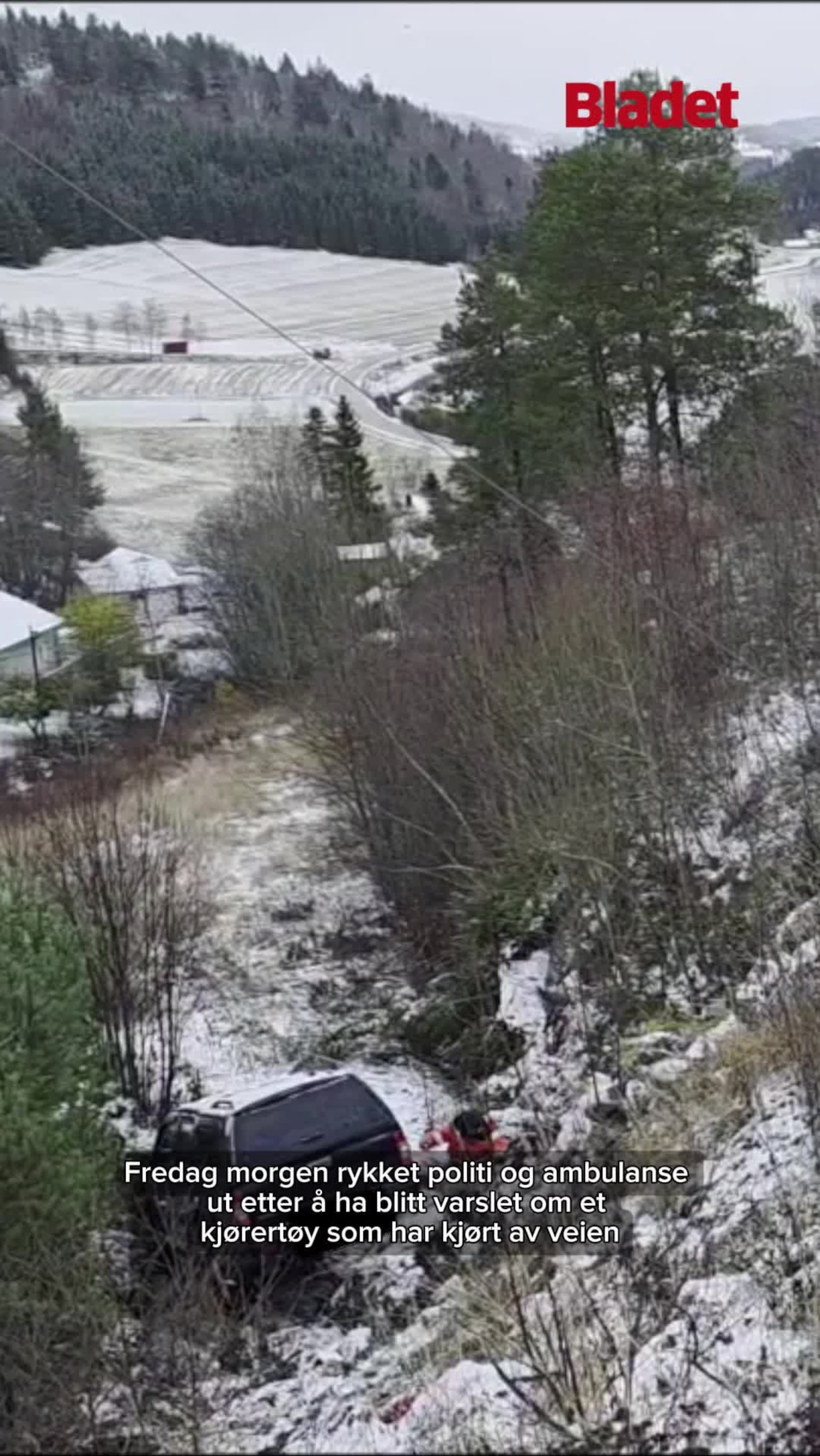 Bil kjørte av veien