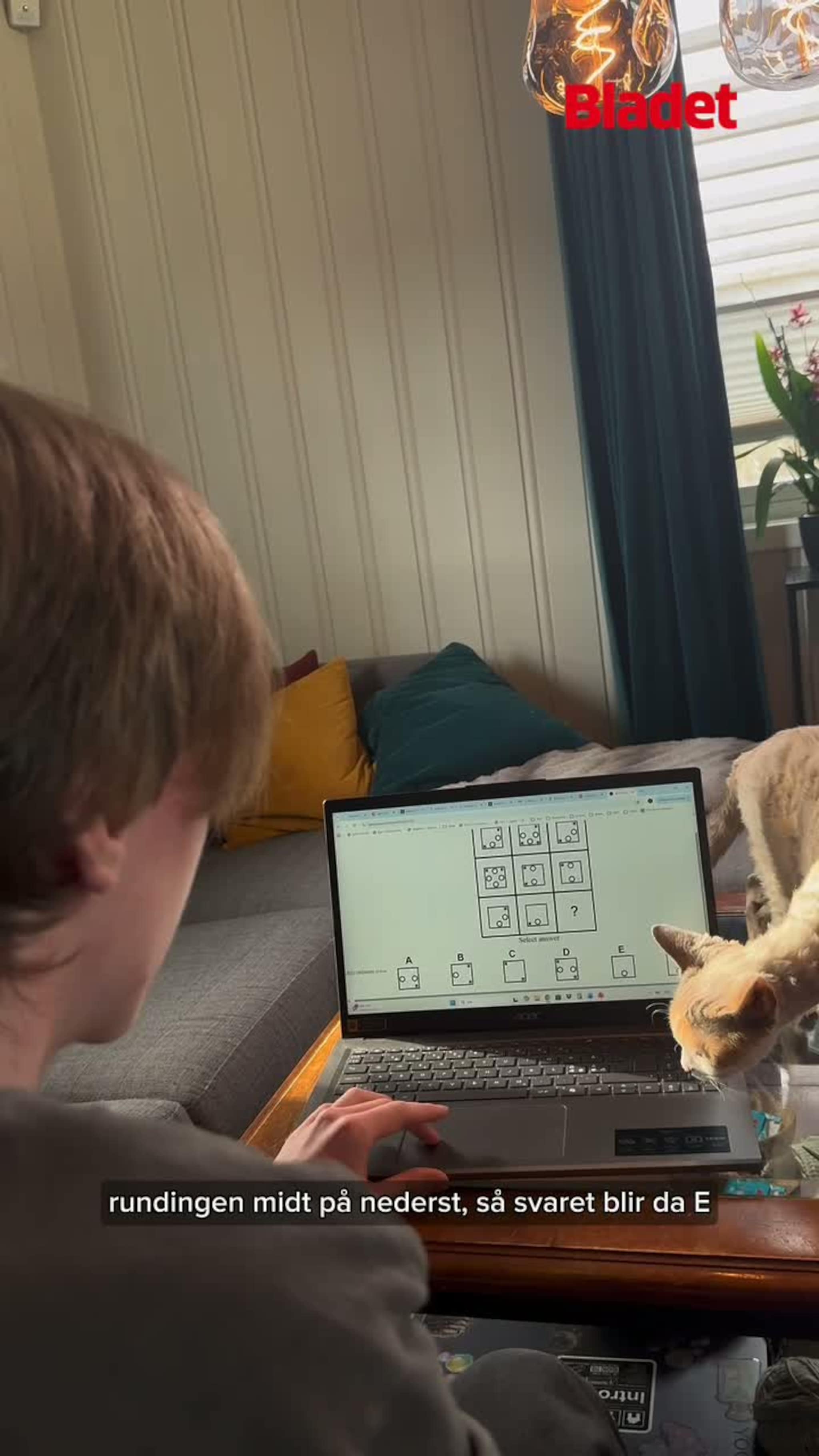 Iver (16) er medlem i Mensa Norge