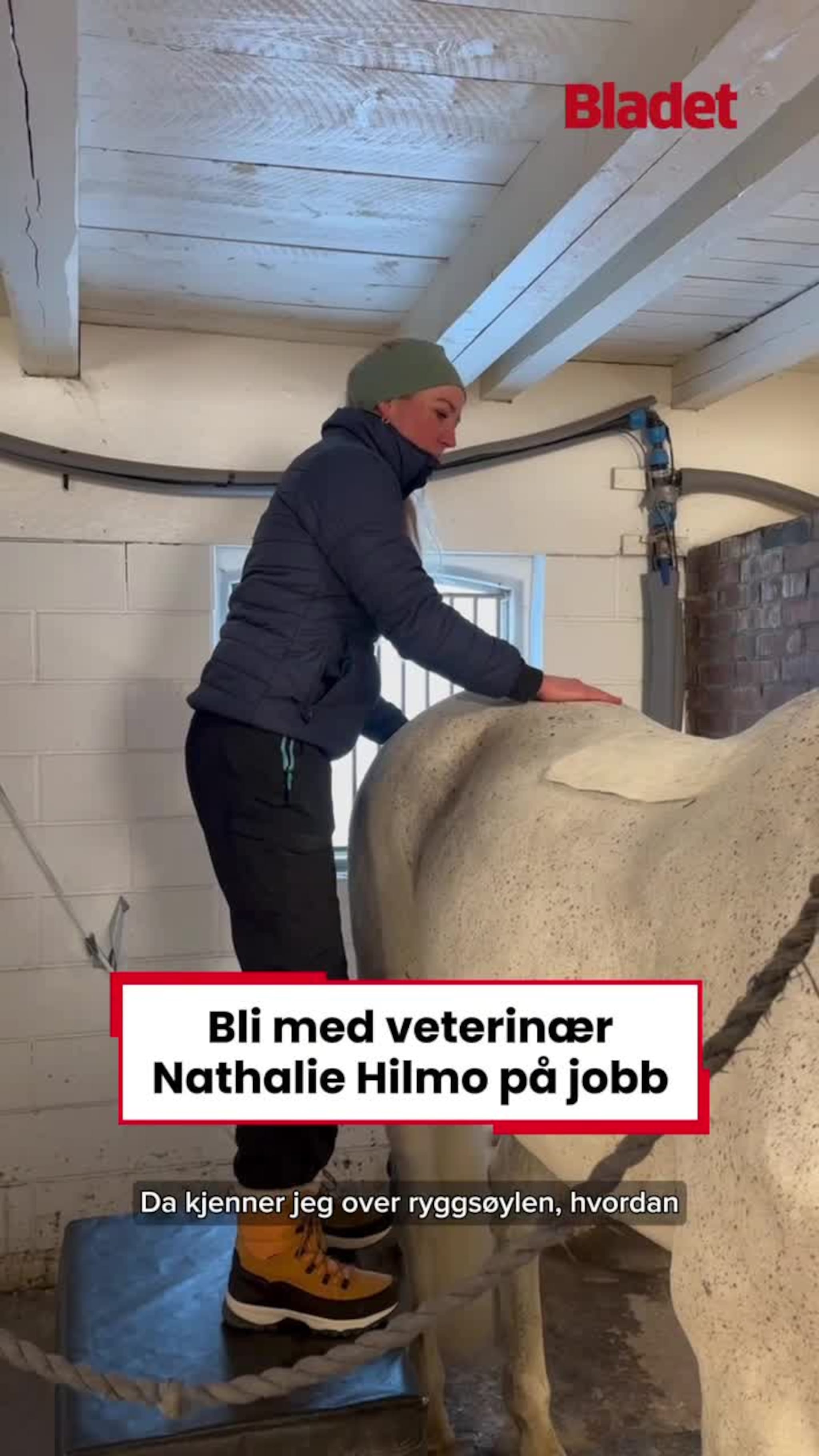 Bli med veterinæren på jobb