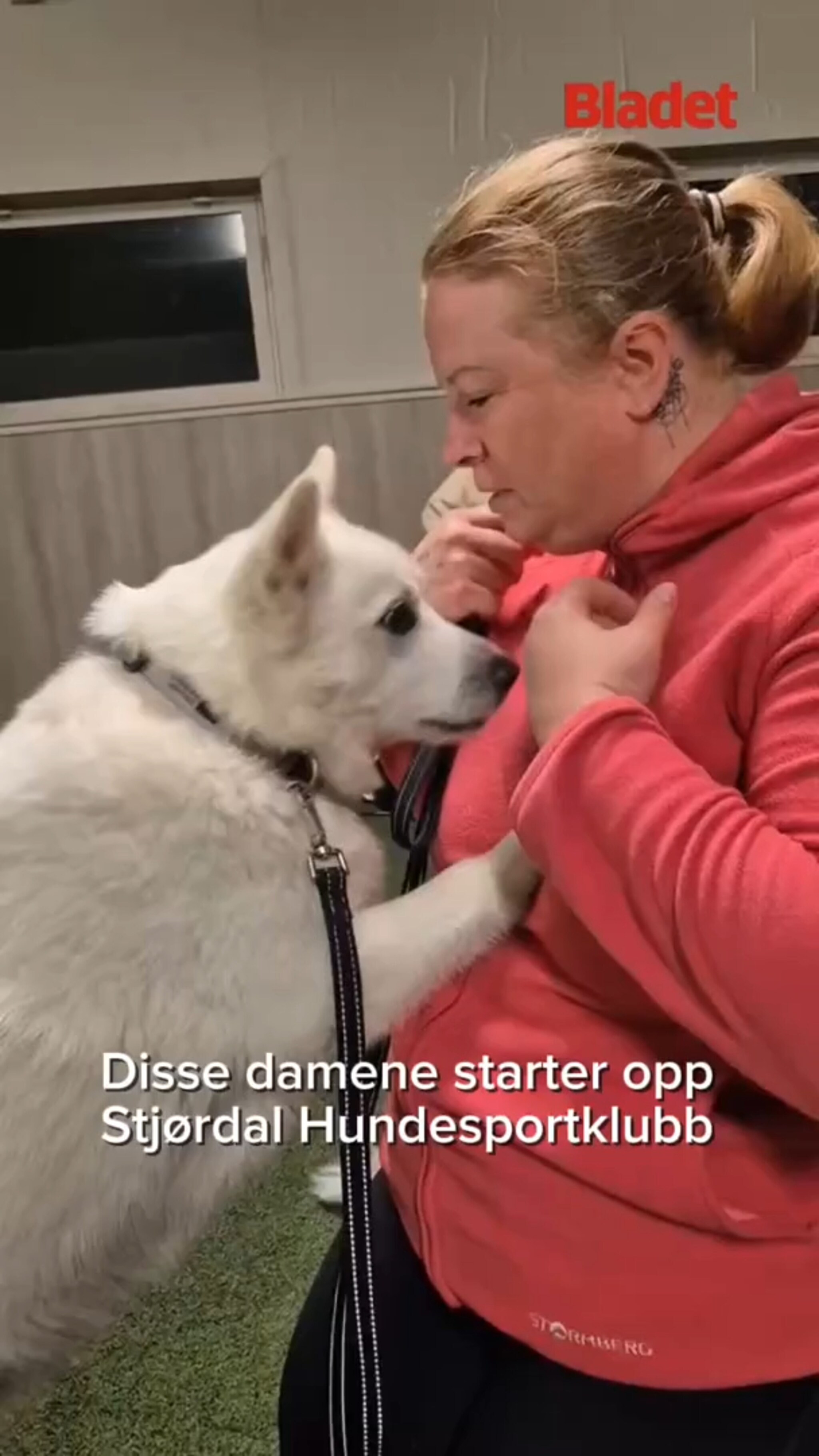 Starter opp Stjørdal Hundesportklubb