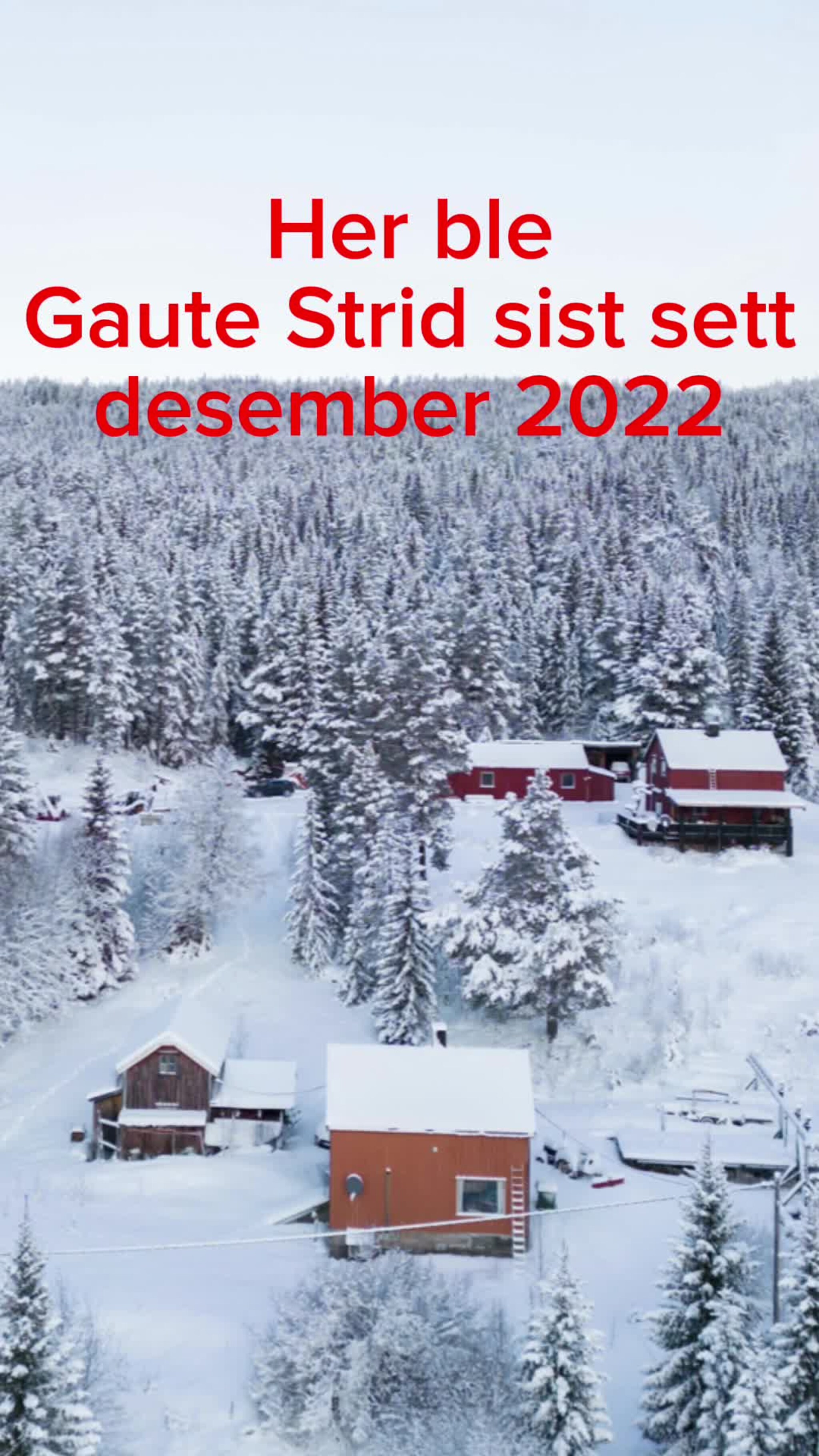 Hva skjedde med Gaute Strid?