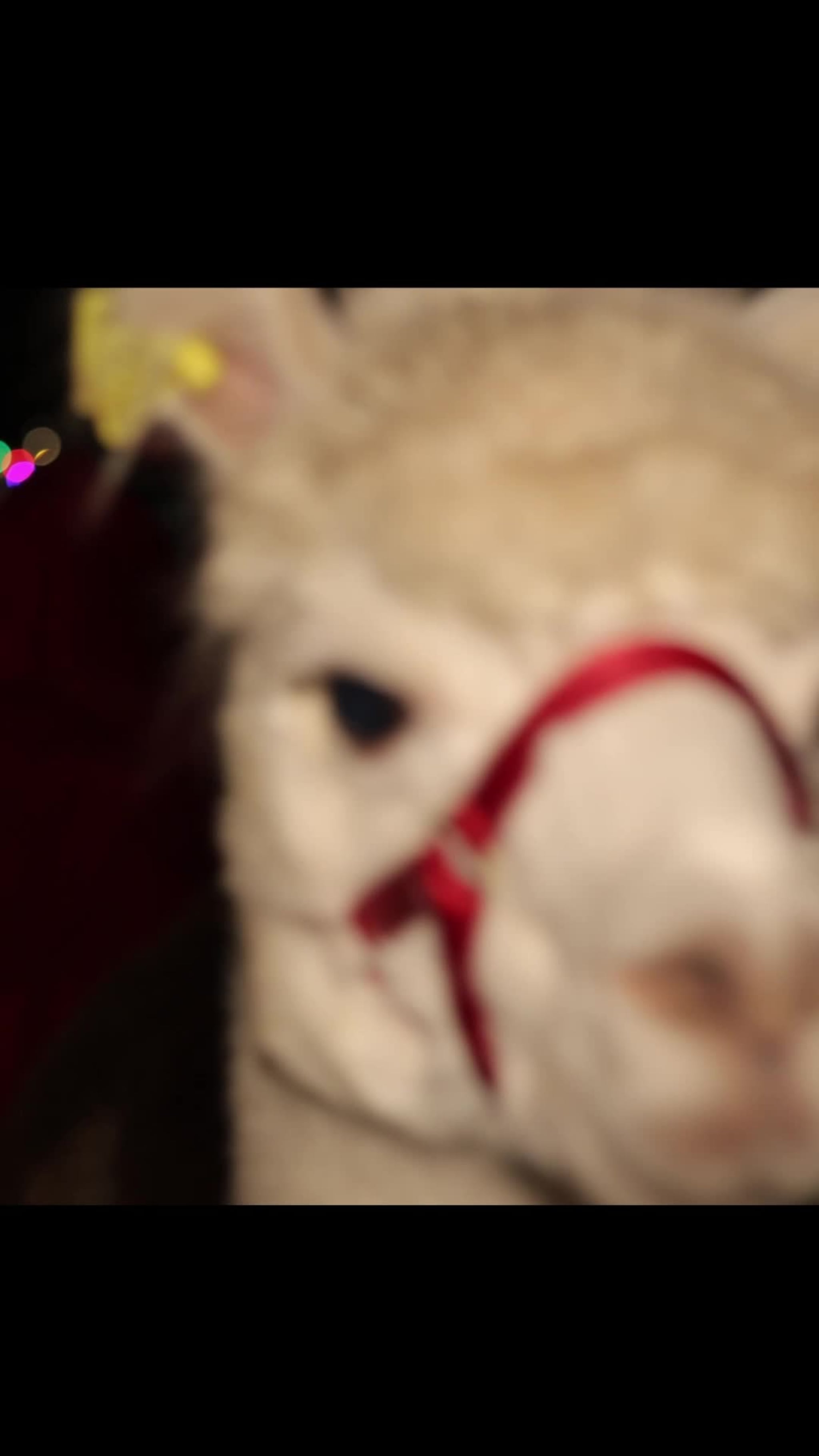 – De som ikke var her gikk glipp av noe