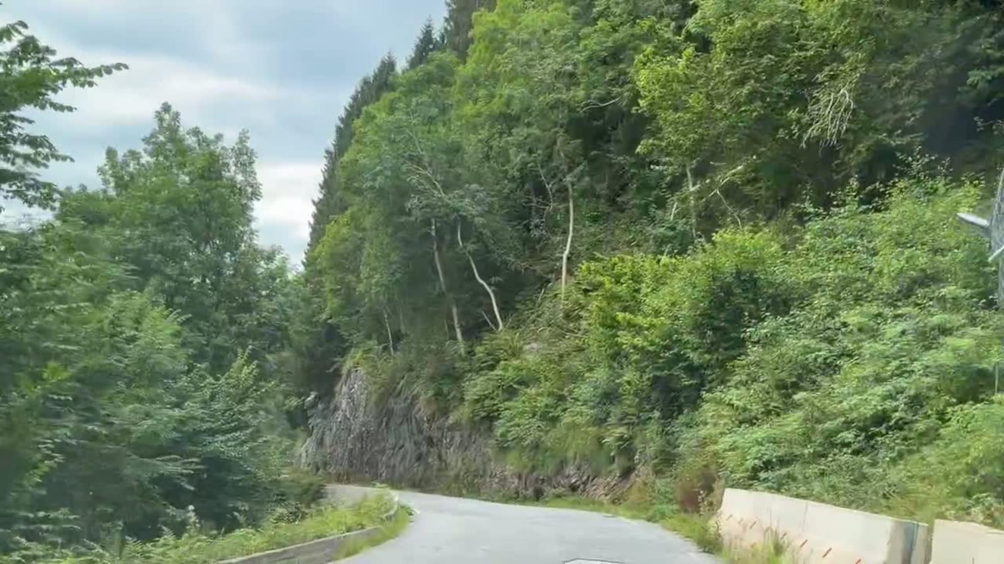 Bruvikvegen