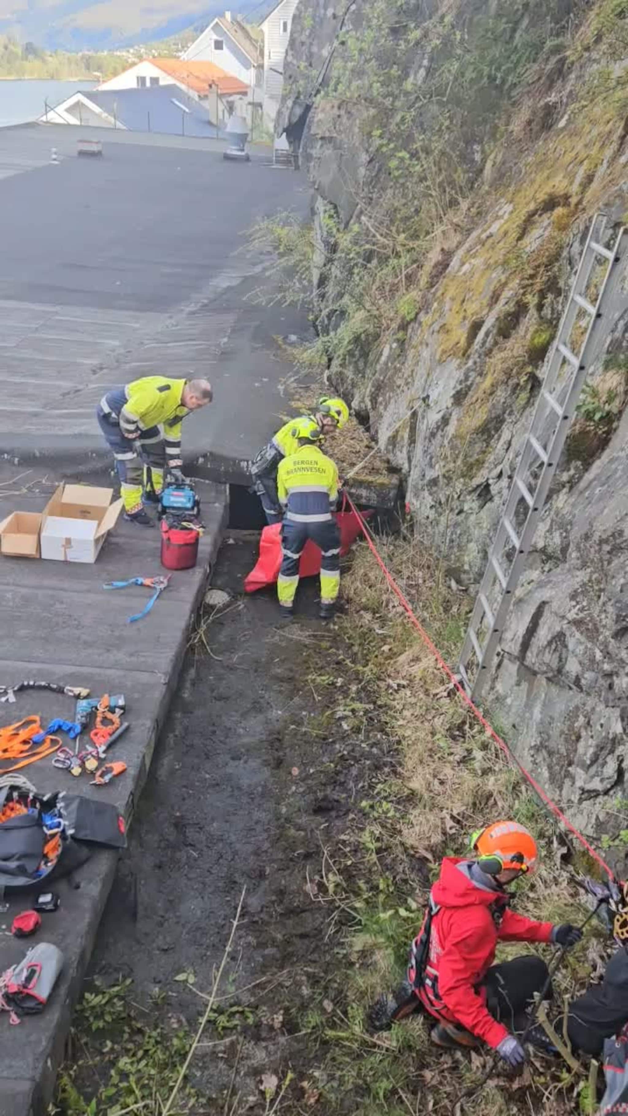 Klatrere på gåsejakt