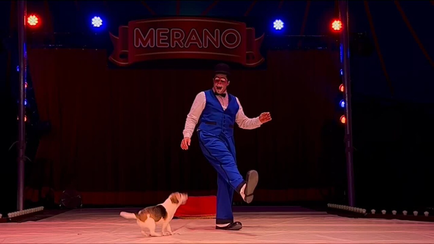 Cirkus Merano