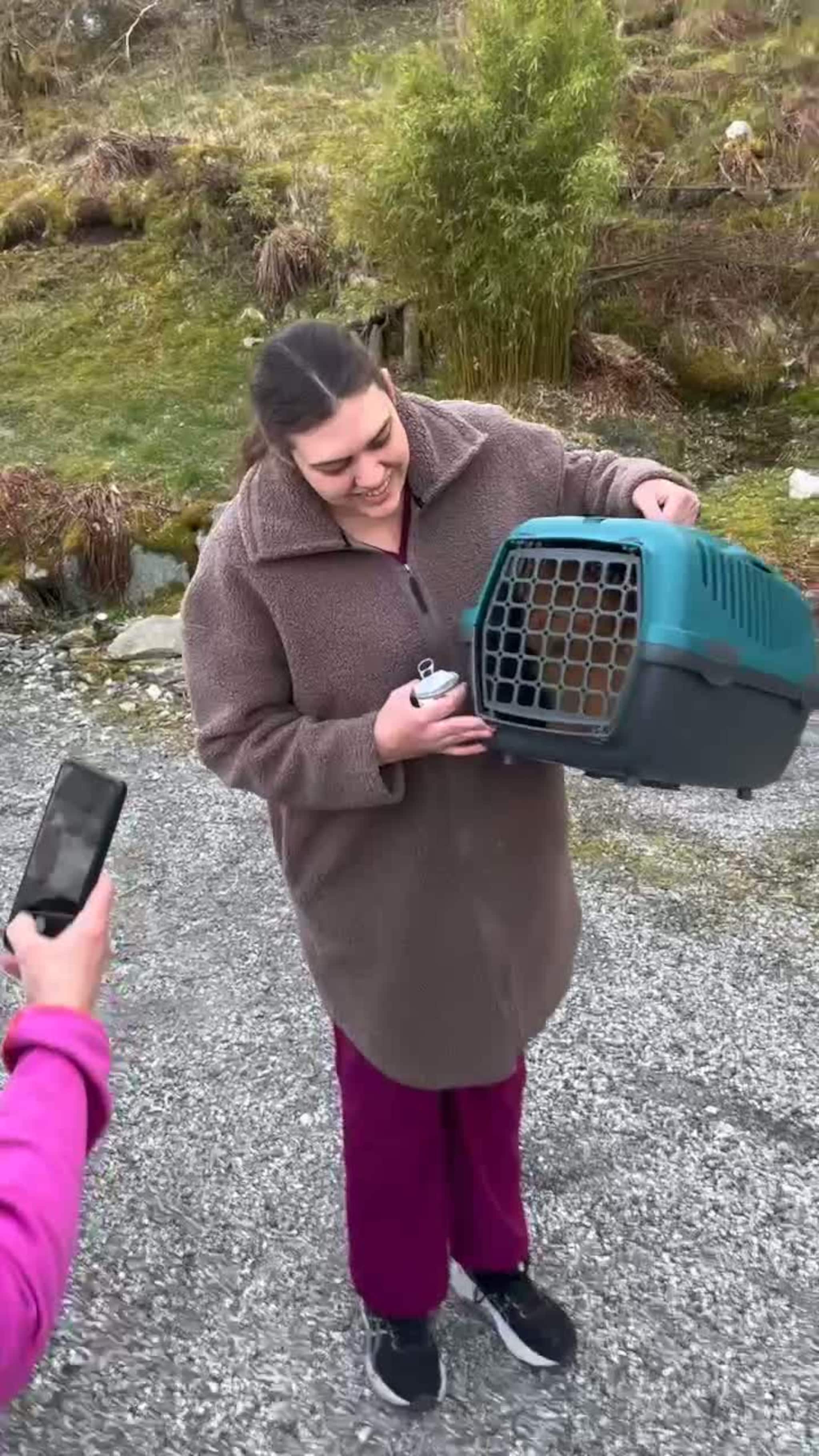 Kiwi er endelig trygg