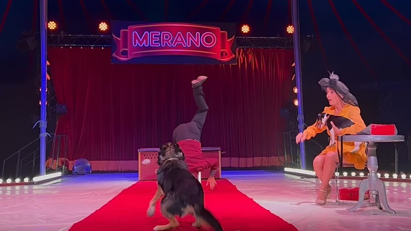 Cirkus Merano