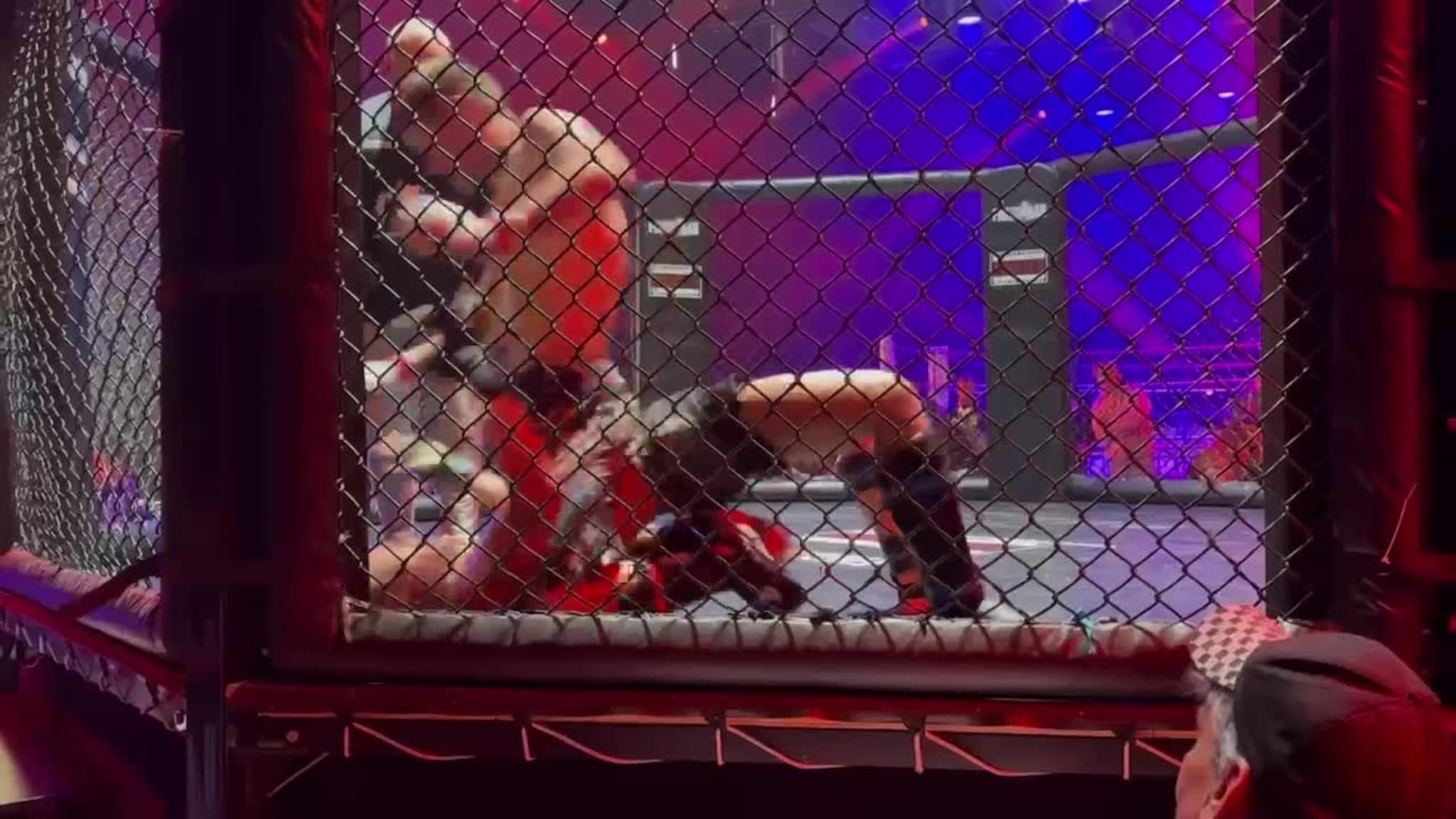 Tett fight i buret