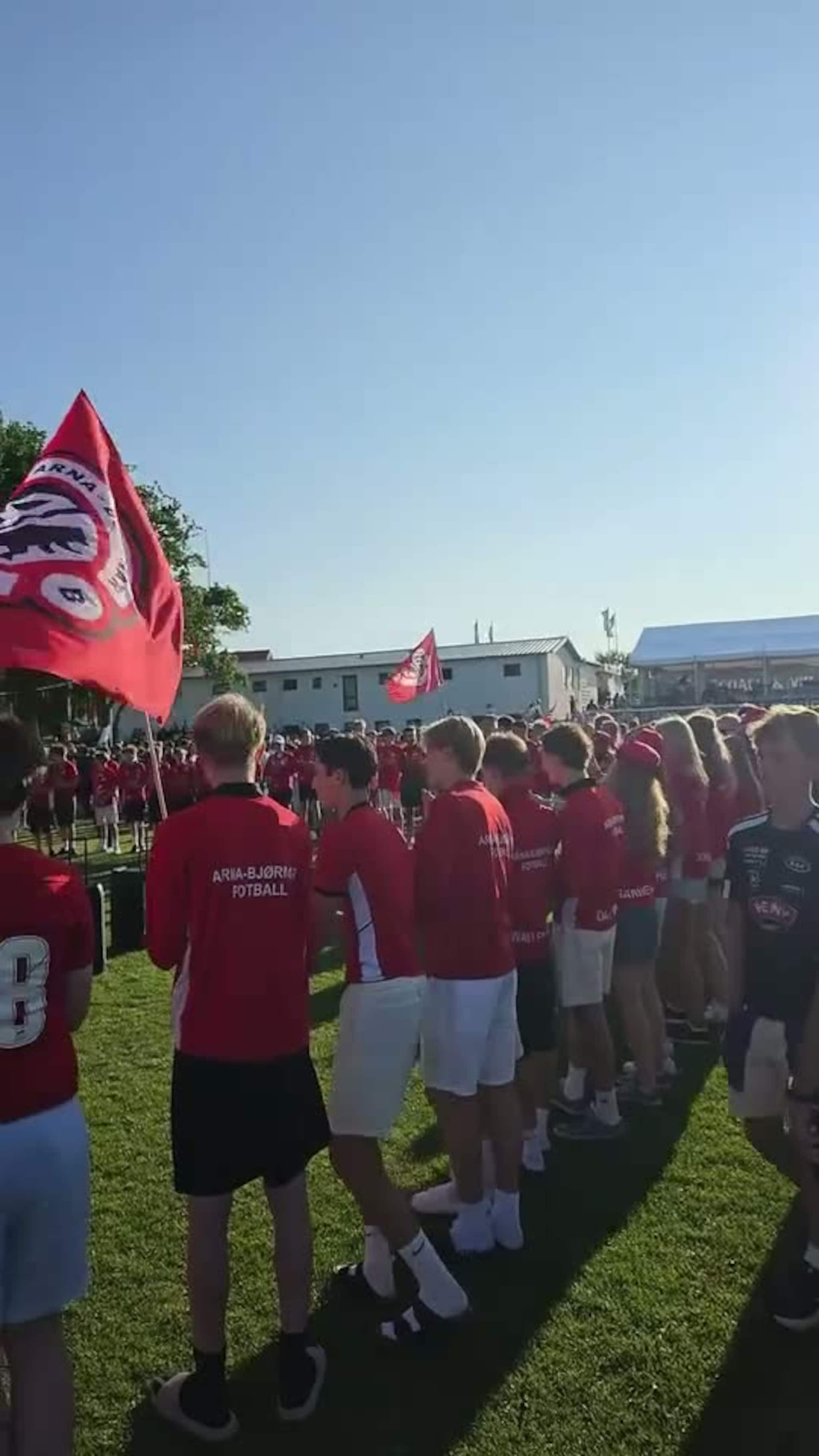 AB setter farge på Danmark