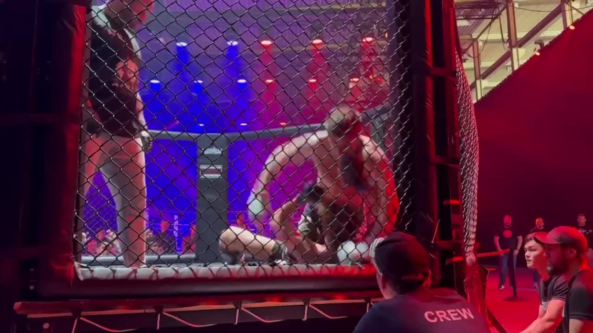 Fight i buret