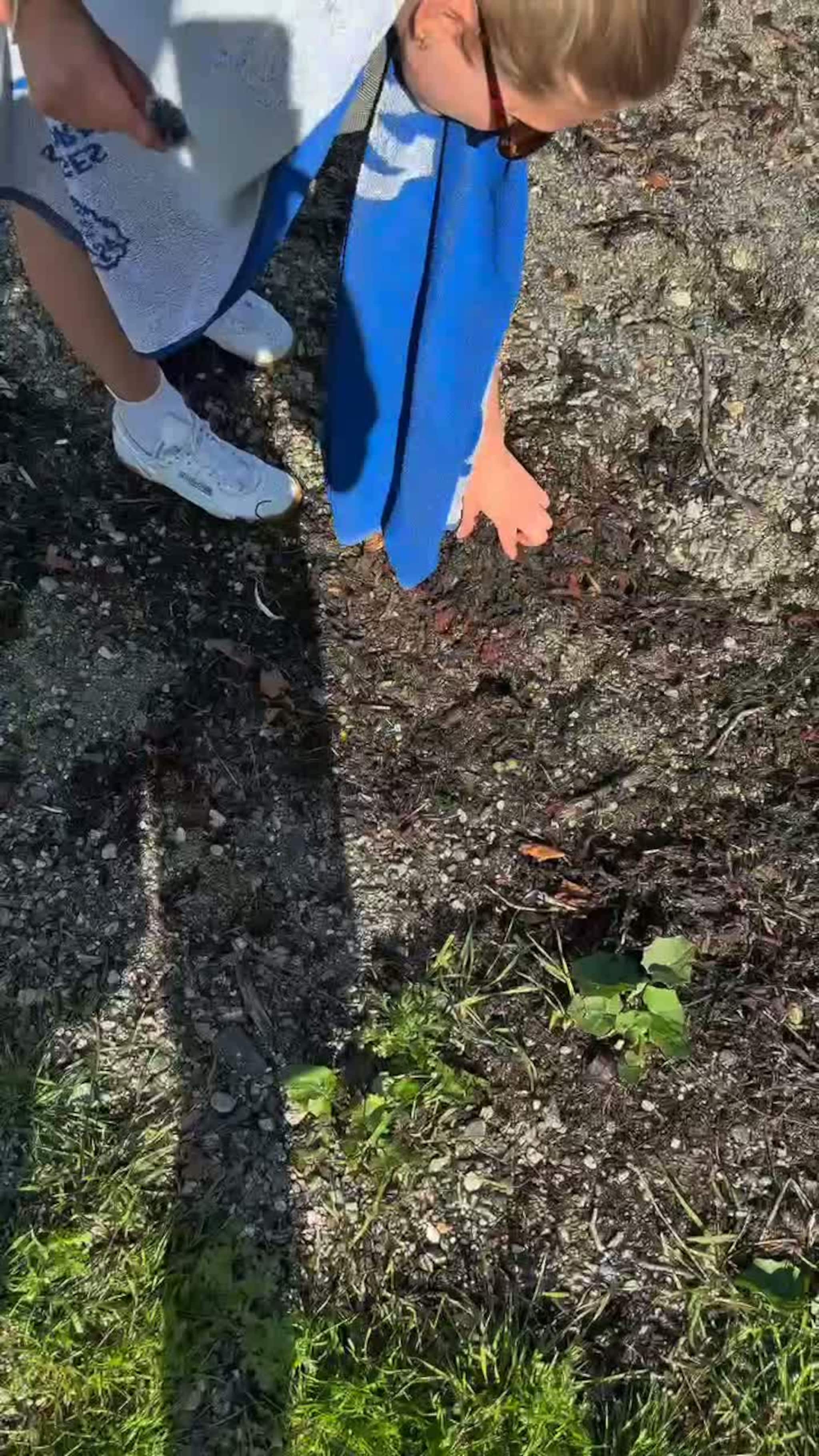 På jakt etter den beste badeplassen i Arna