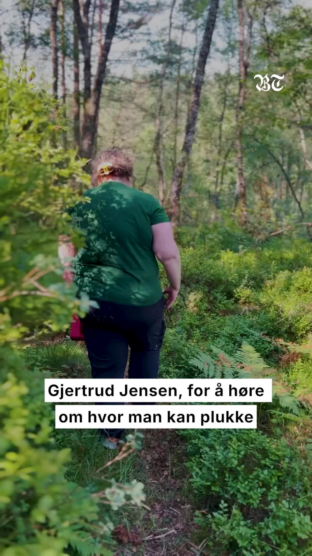 Forhåndsvisning av Her er bærene gratis