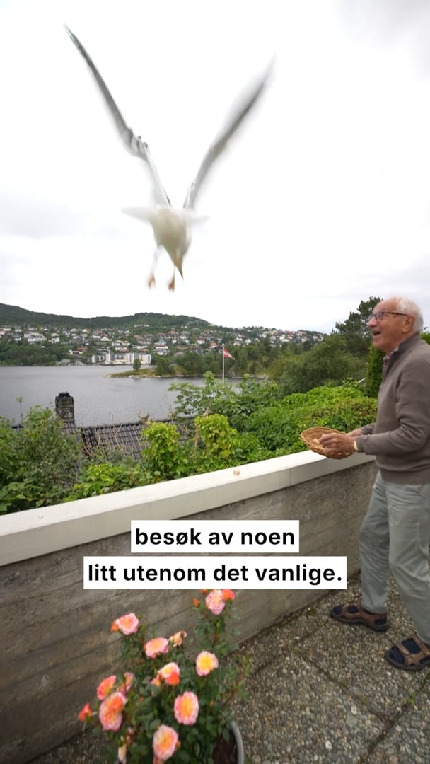 Forhåndsvisning av Et besøk helt utenom det vanlige
