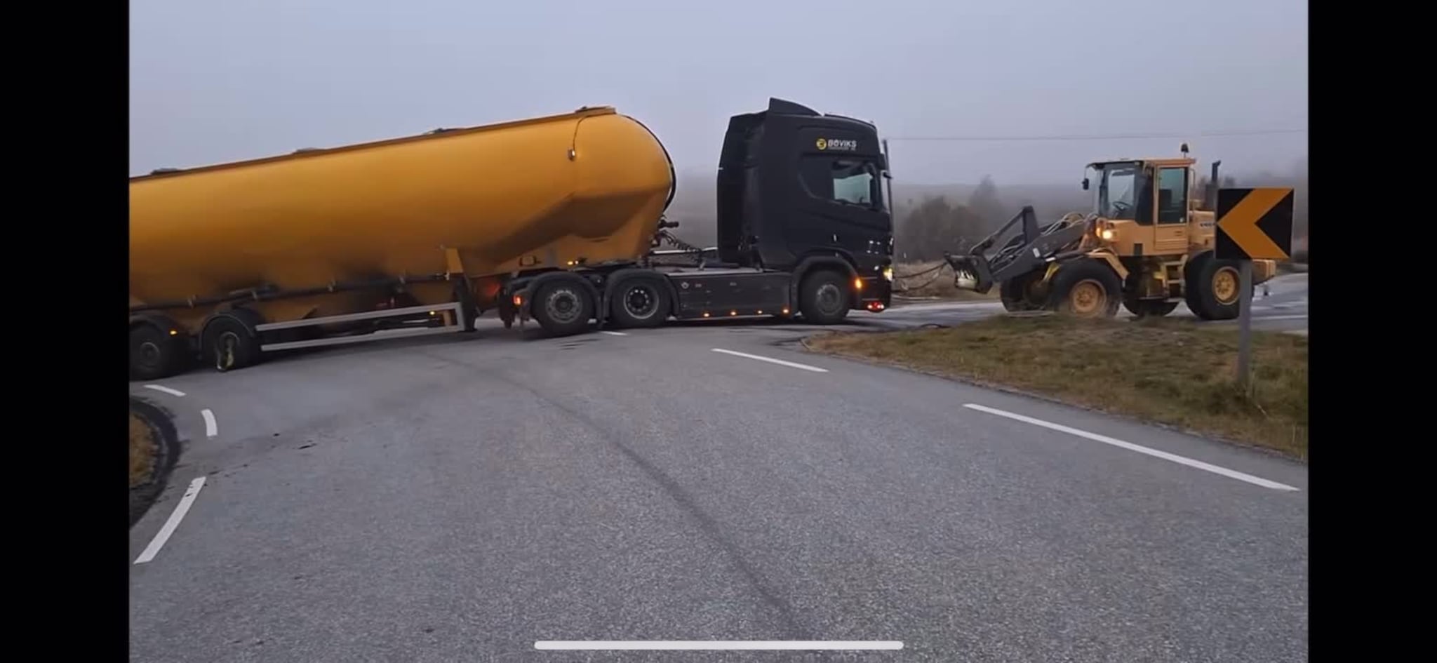 Bilberging Venabygdsfjell