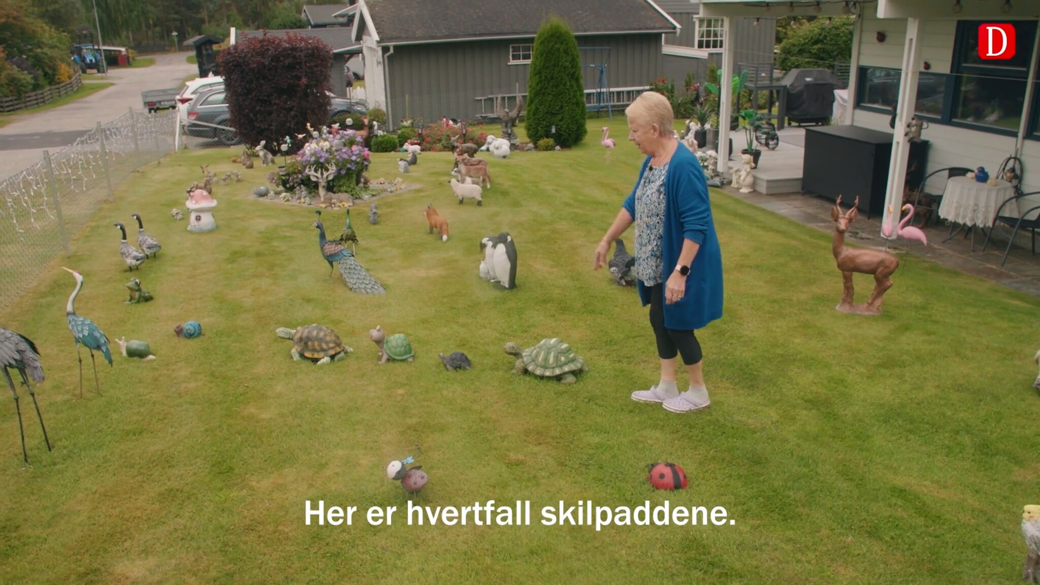 Liv har en hobby litt utenom det vanlige: - Nesten daglig stopper folk for å filme her