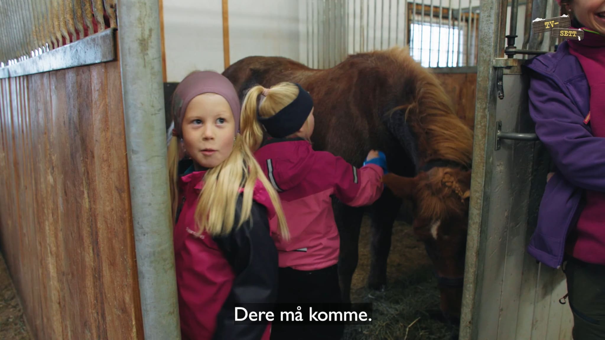 Alina (9) lærer Odd Arne å stelle hestene
