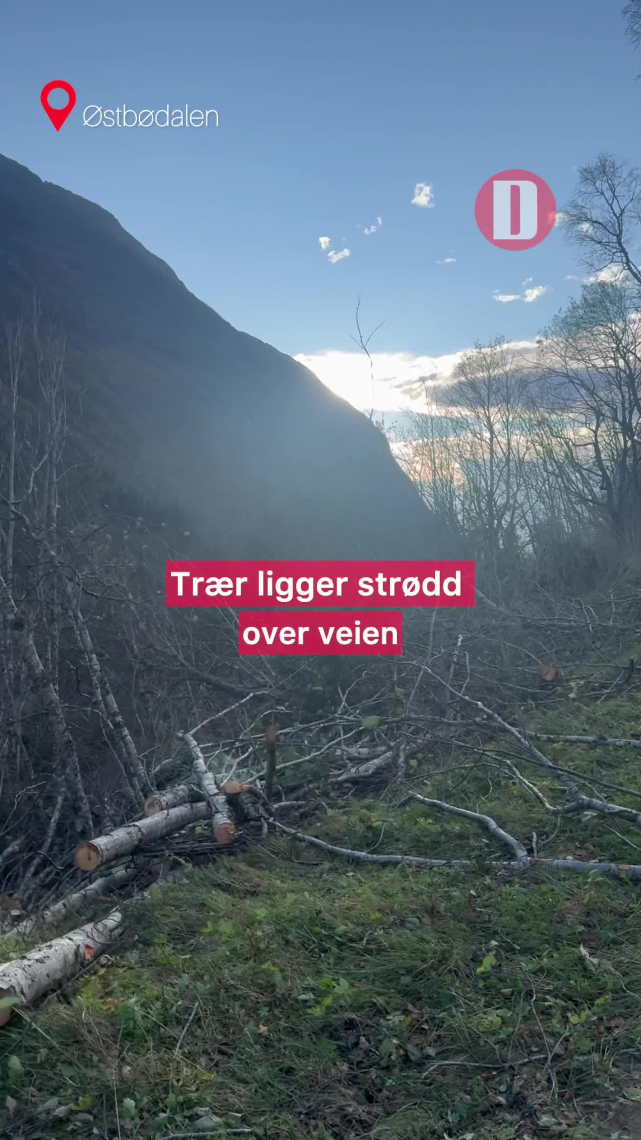 Trær ligger strødd over veien mellom Østbødalen og Søyådalen.