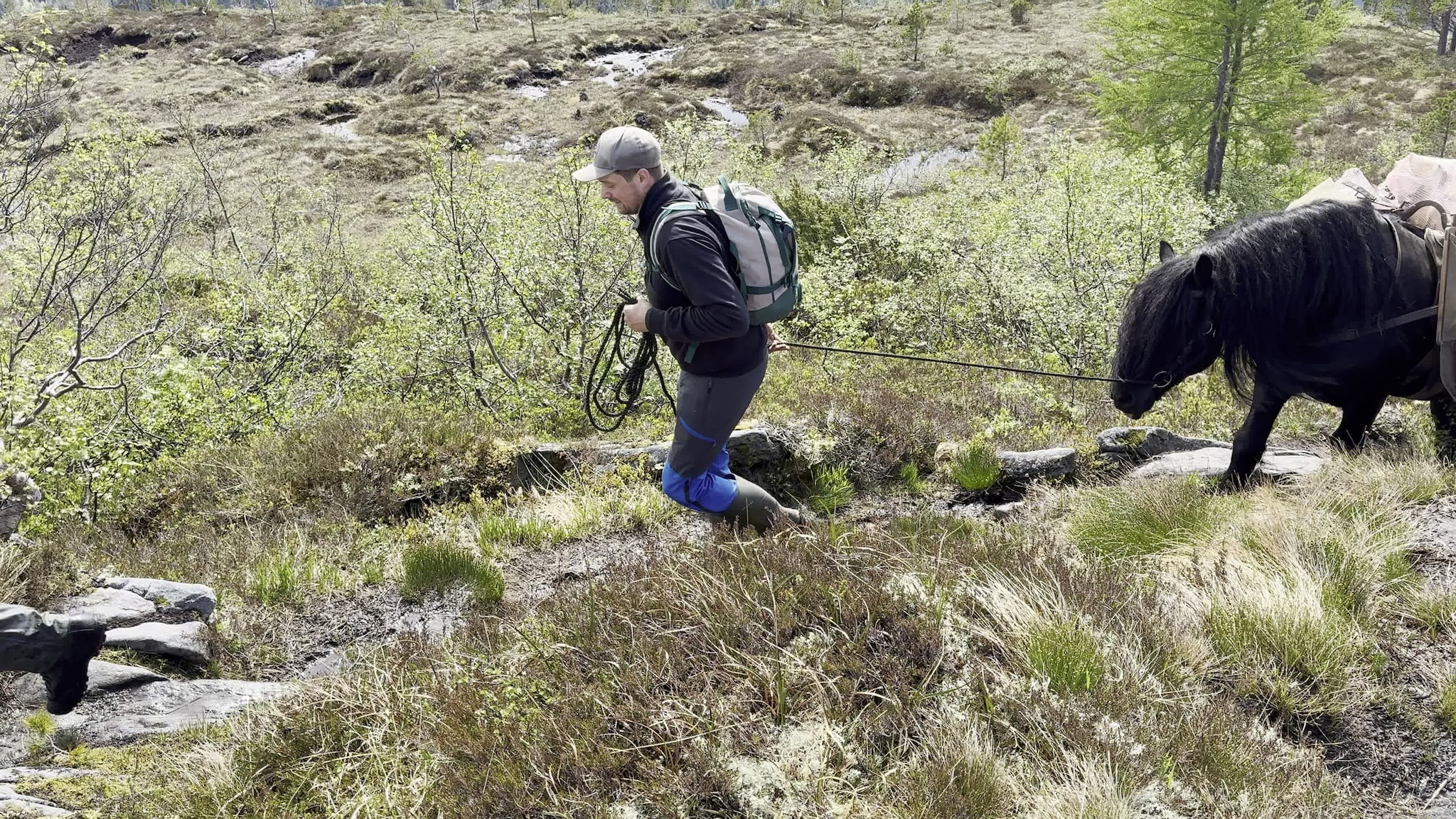 Kristian Svart og Skarv Tor fikk prøve seg med kløv til Jutulbu.