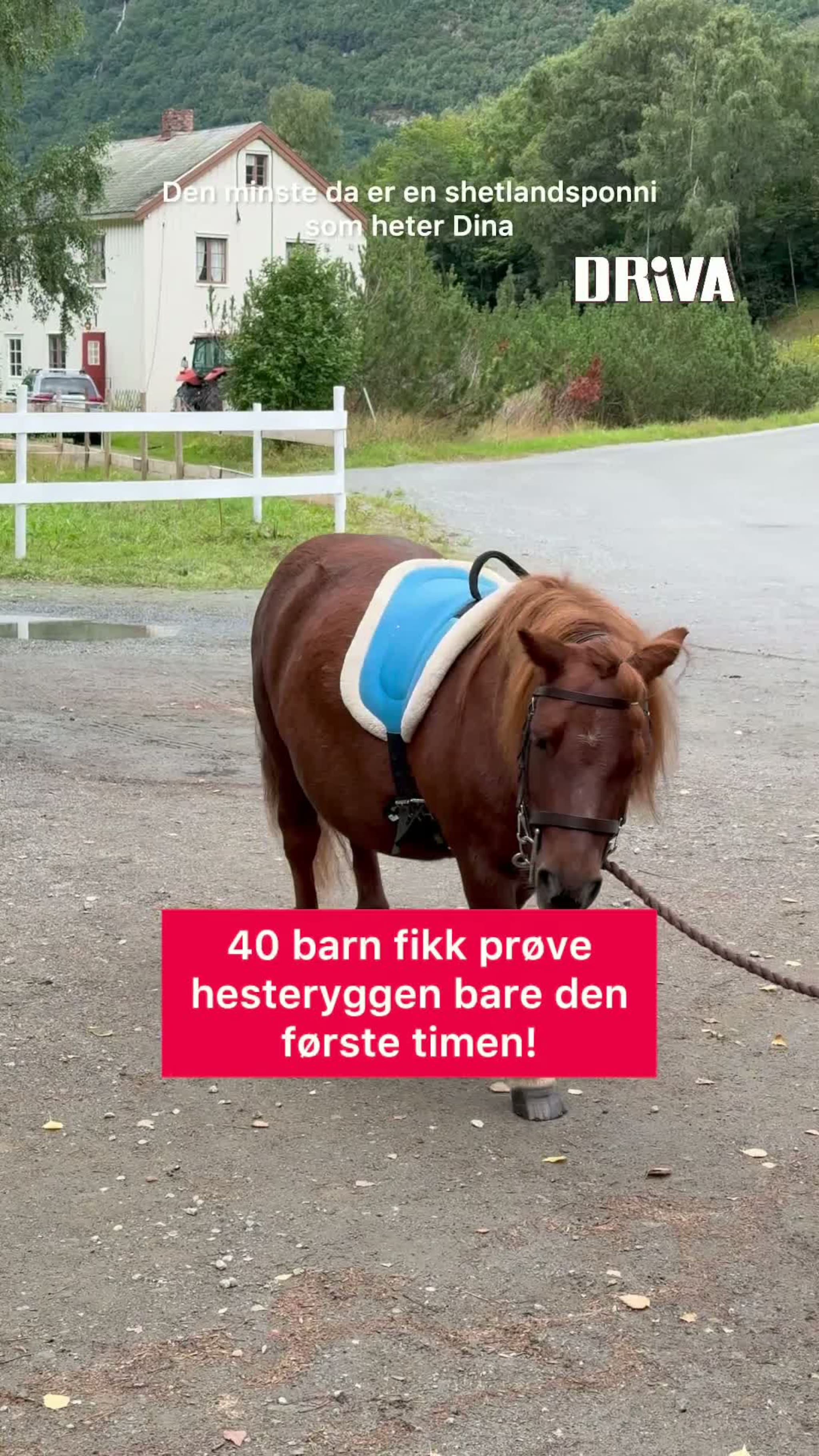 ET glimt fra dagen på Elverhøy