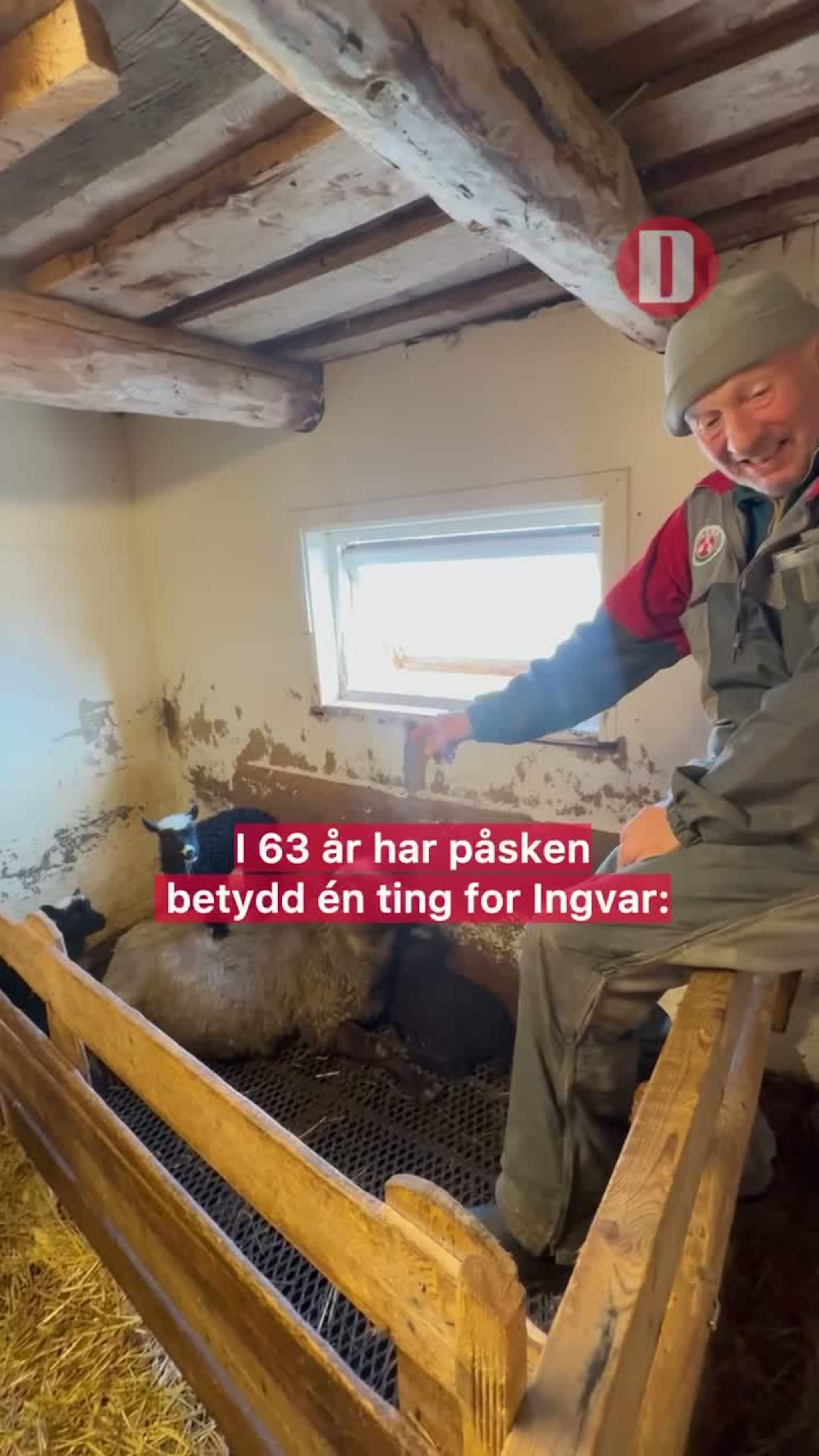 I 63 år har påsken betydd én ting for Ingvar: lamming.