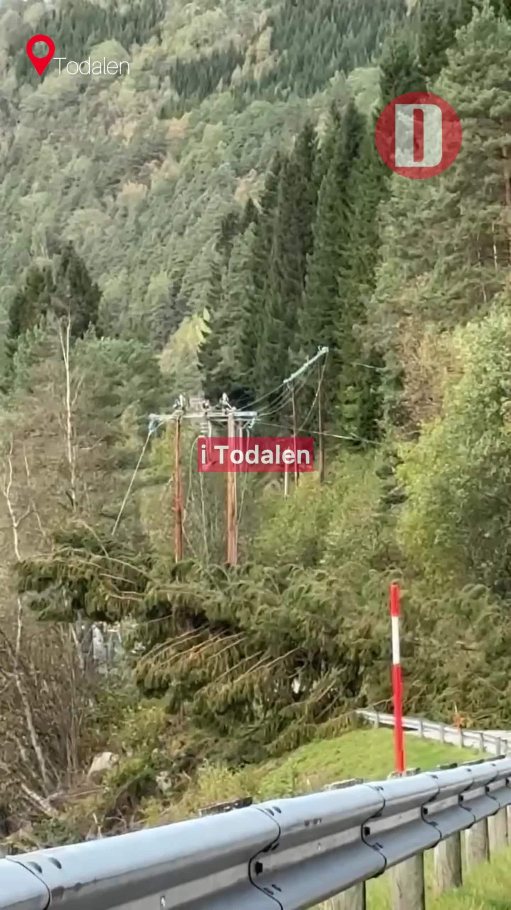 Her sprenger Svorka treet for å rydde veien i Todalen.