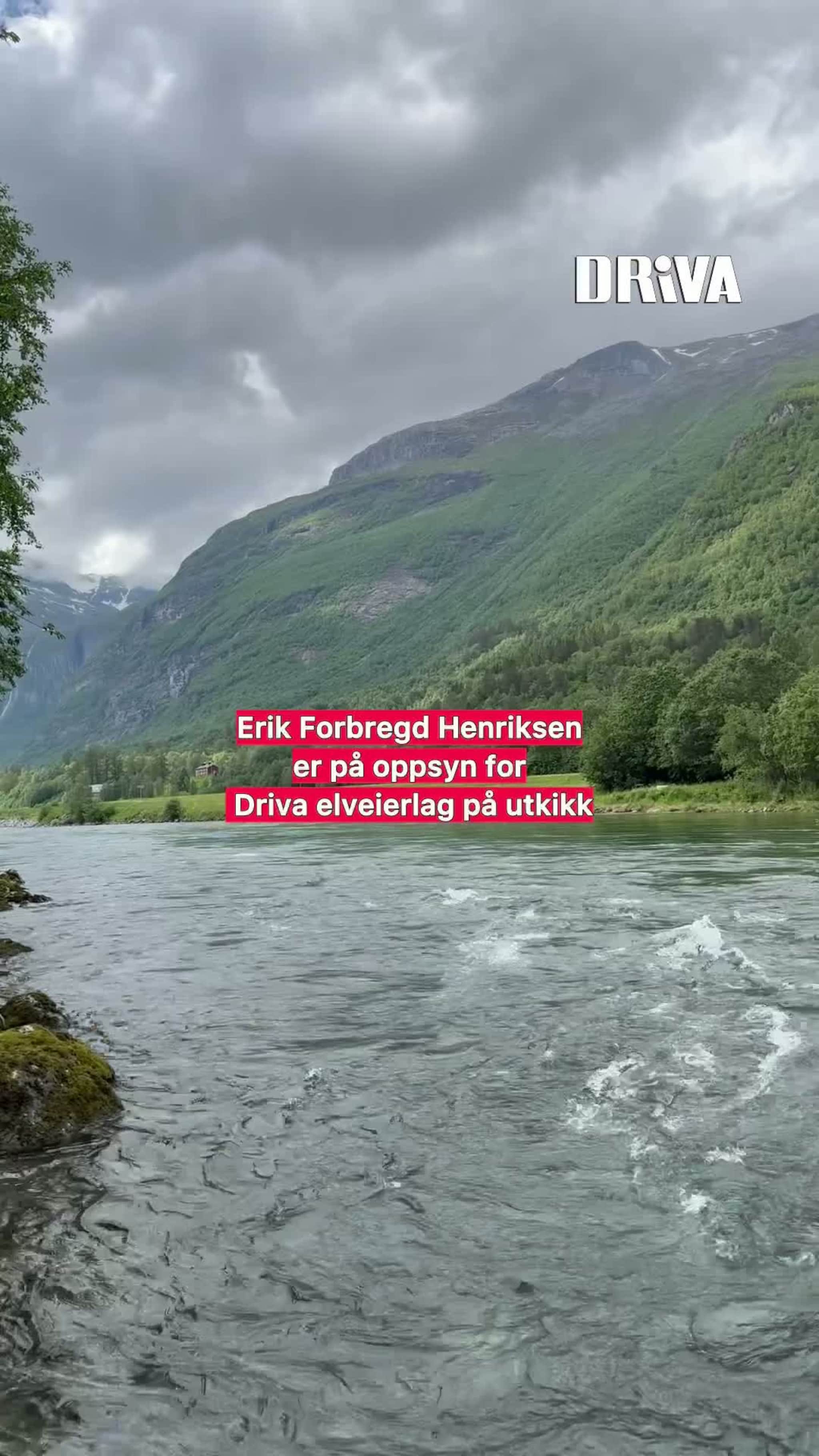 Bli med på oppsyn langs Driva
