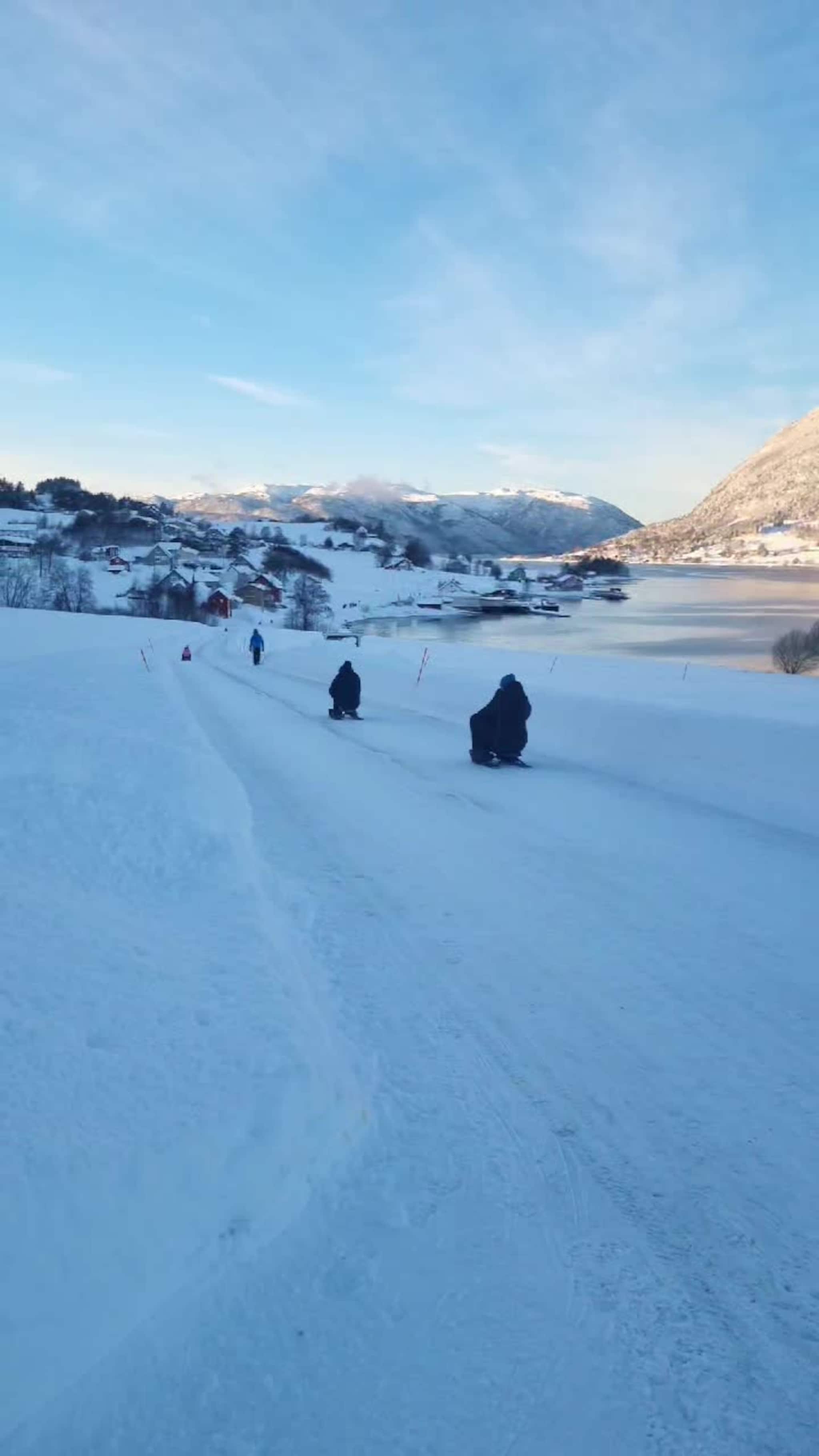 Bøfjordmesterskap i rattkjelke 2025
