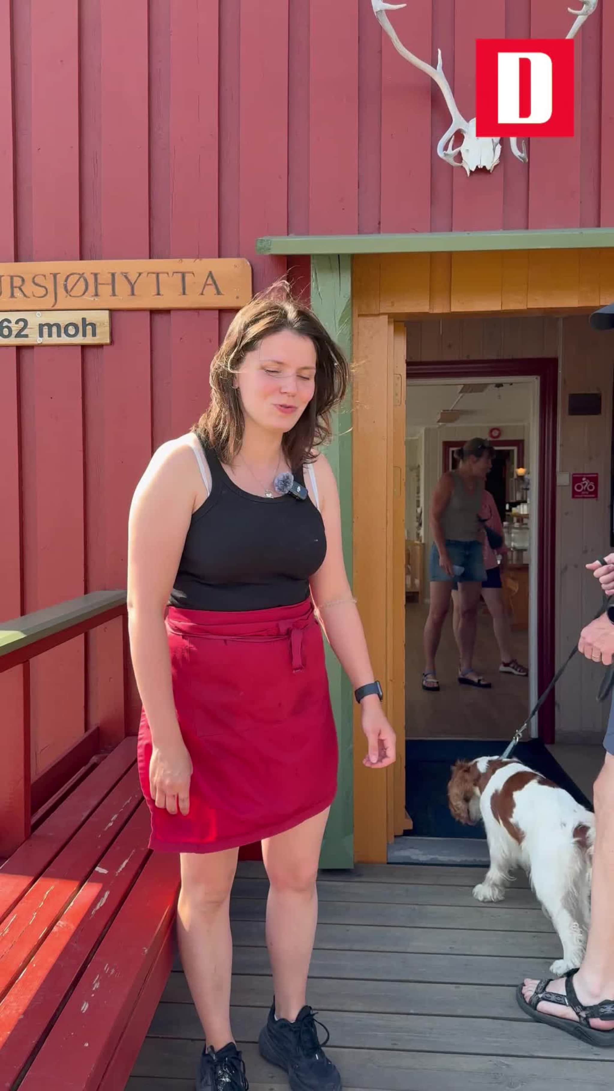 Bli med til  Aursjøhytta!