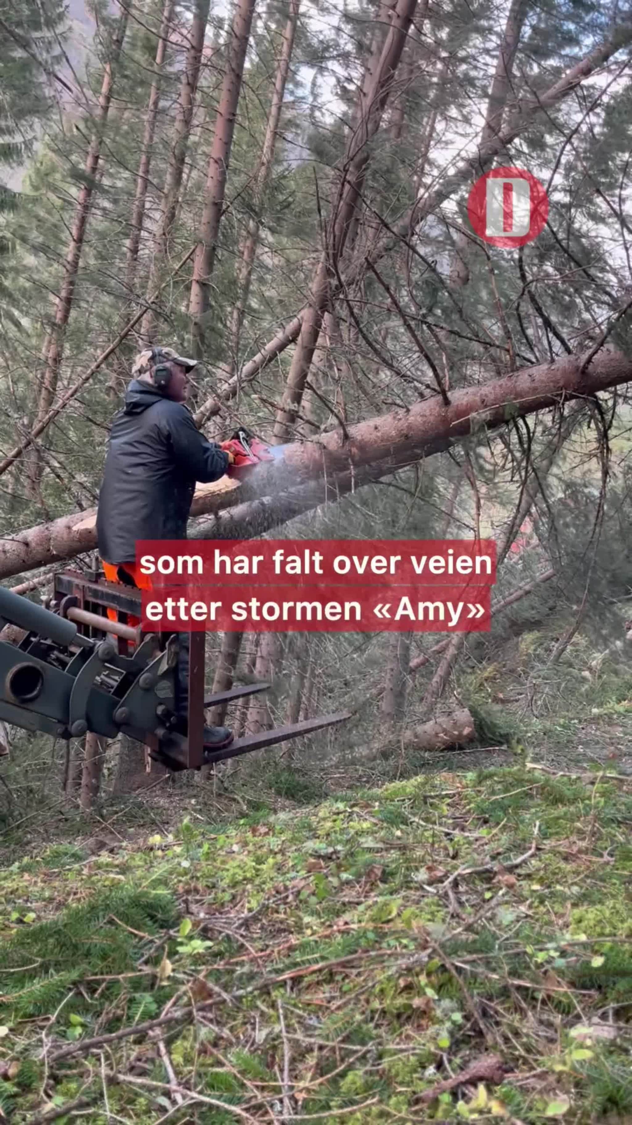 På Gjøra jobber familien Julbø fortsatt med å rydde vei opp til huset sitt etter uværet.