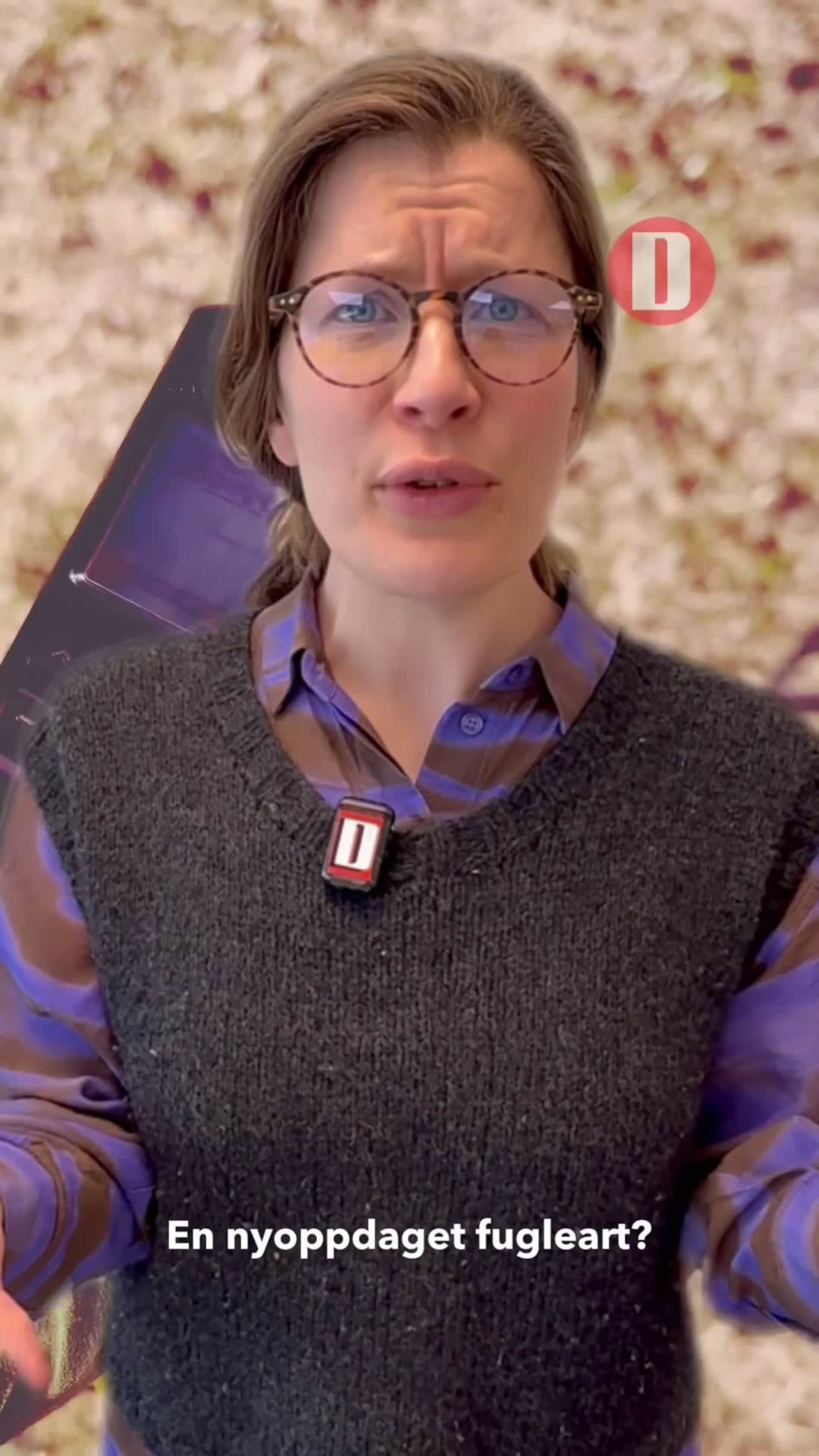 Les saken om Leif Innerdalen og funnene hans 