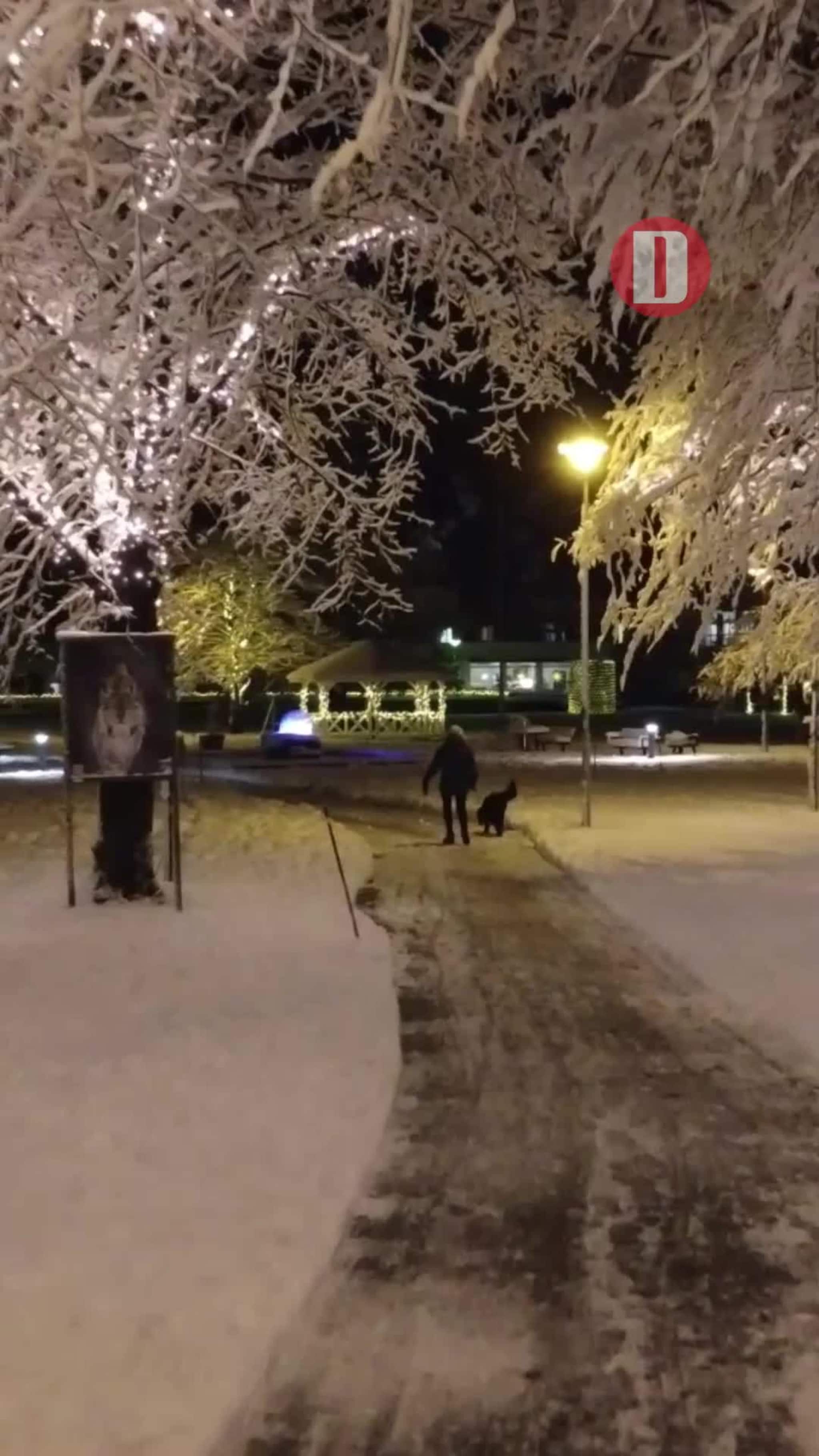 Magisk vinterstemning – sett fra lufta