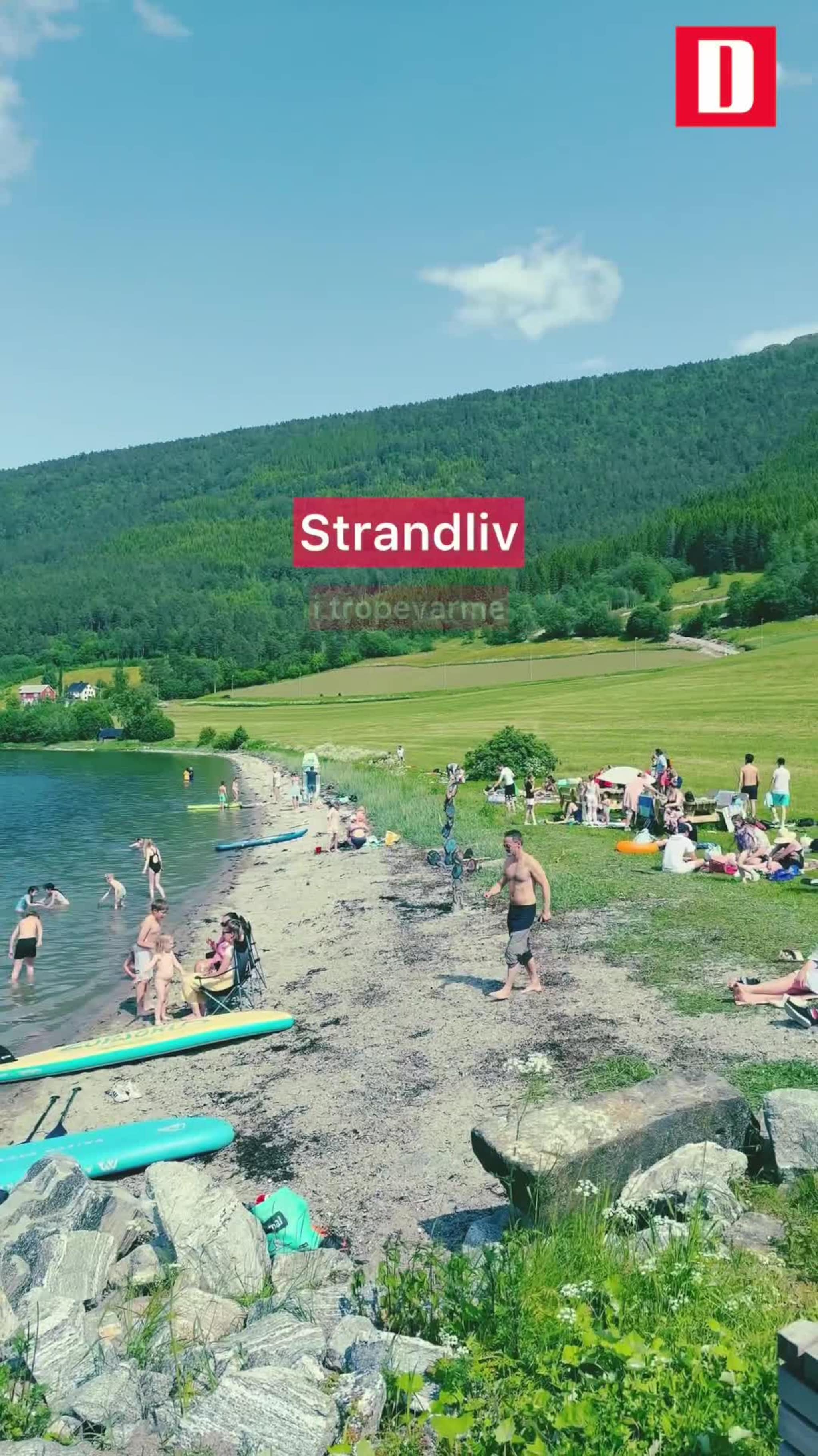 Strandaliv i tropevarme