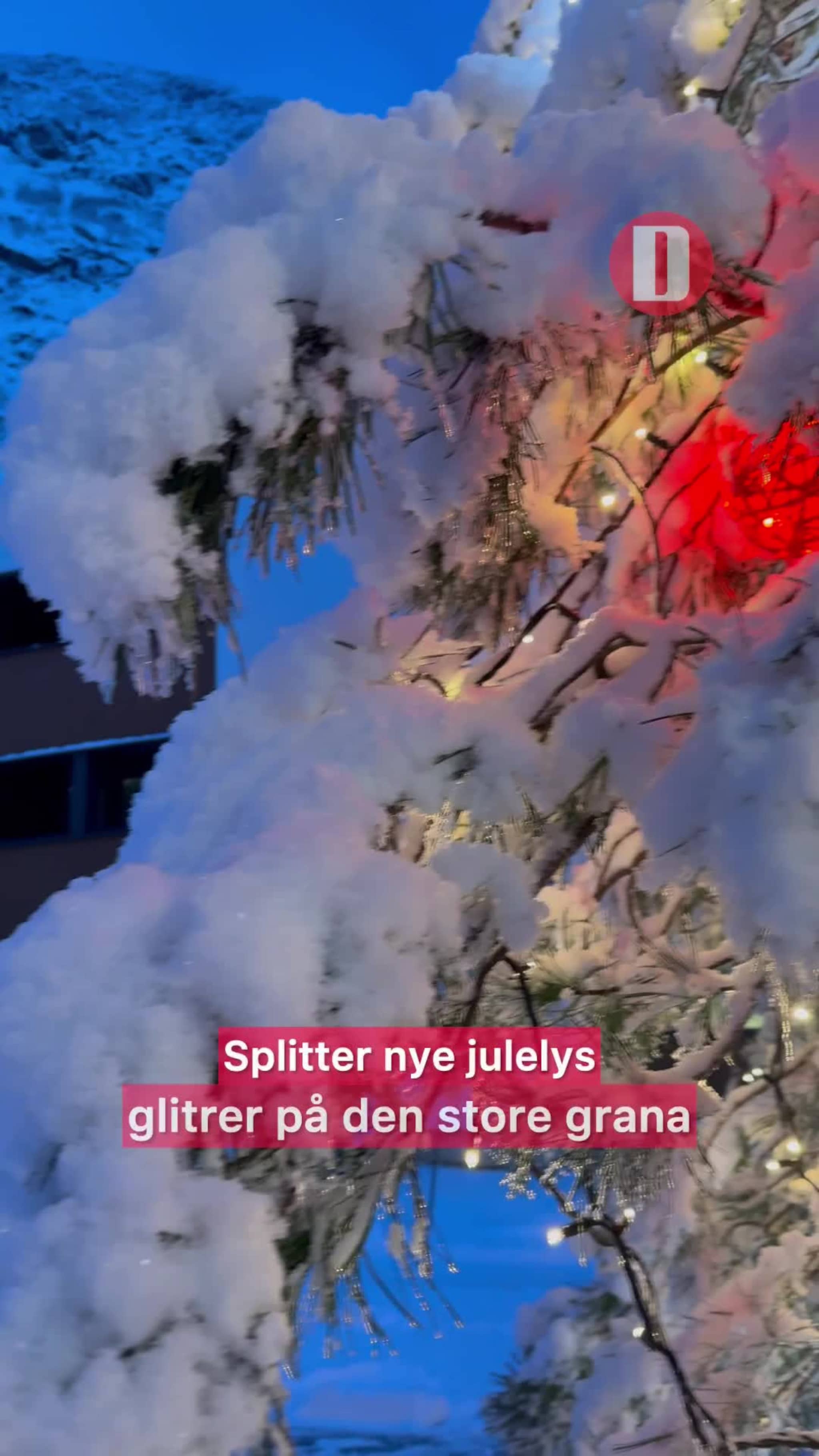 Helsetunparken er blitt et vintereventyr.