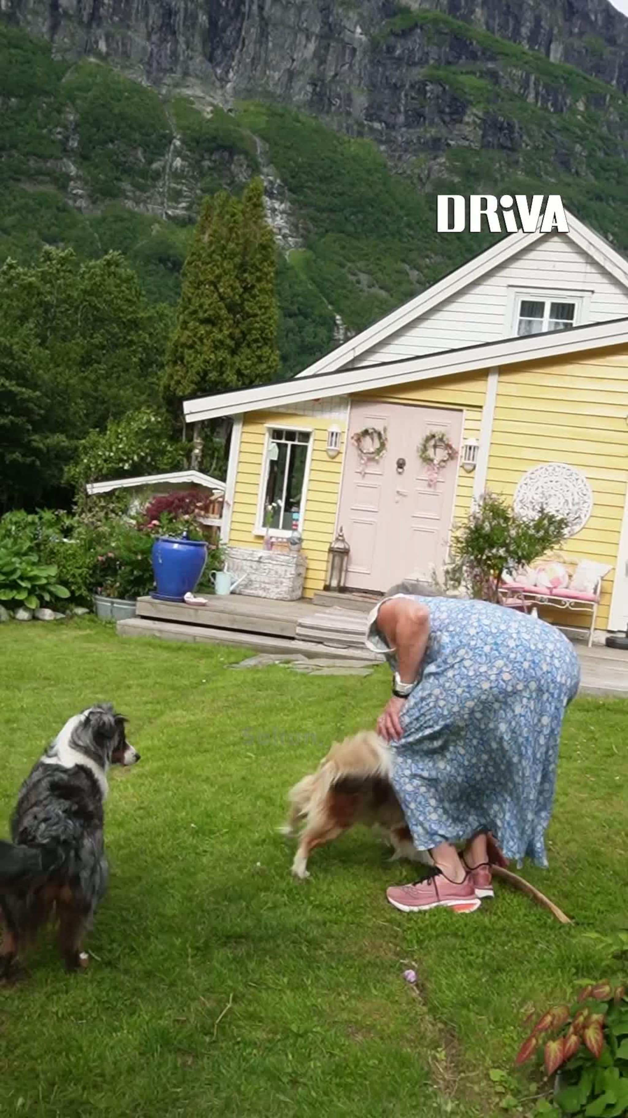 Bli med inn i hagen til kunstneren Tanja Vean 