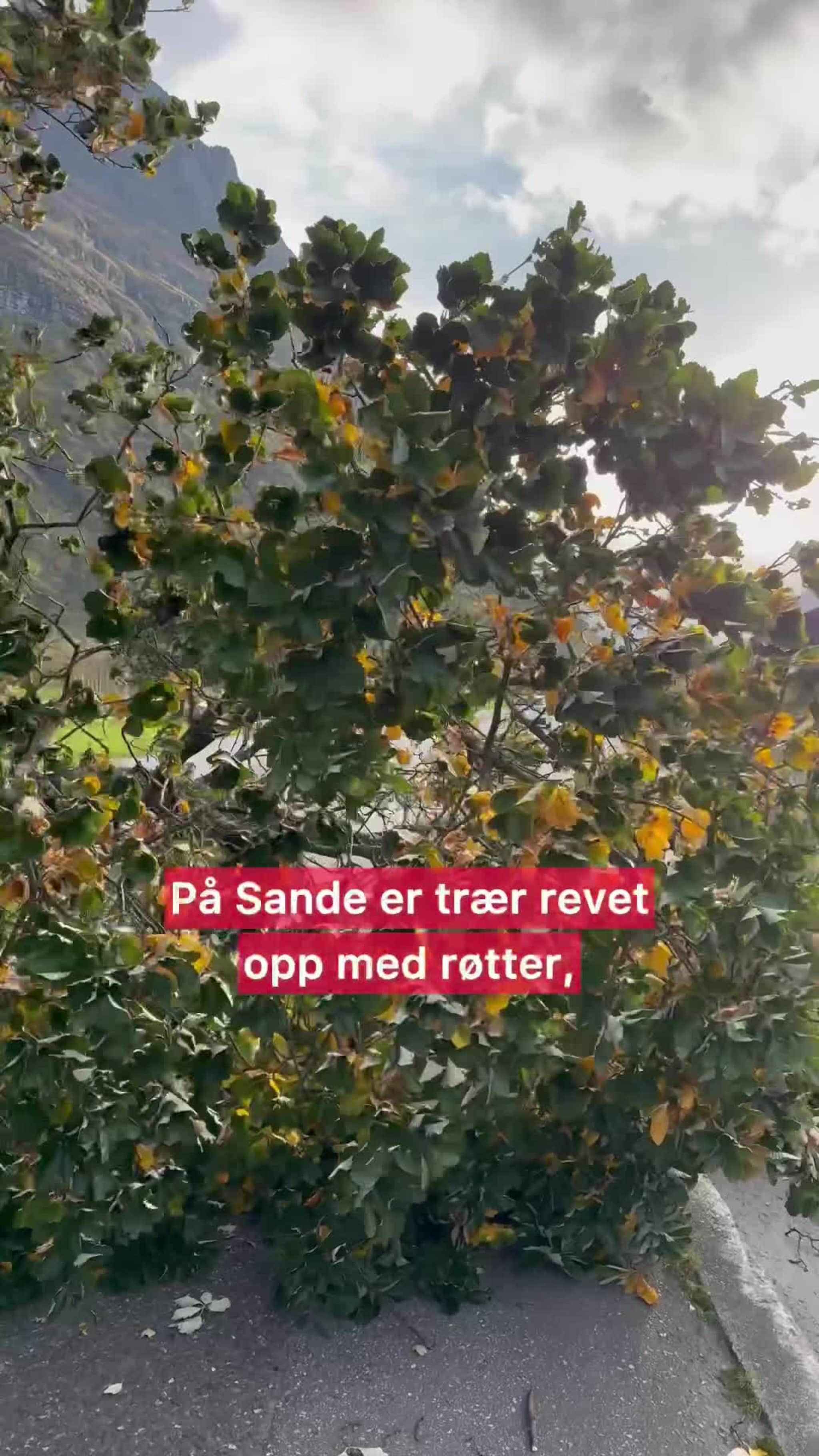 Ekstrem vind på Sunndalsøra
