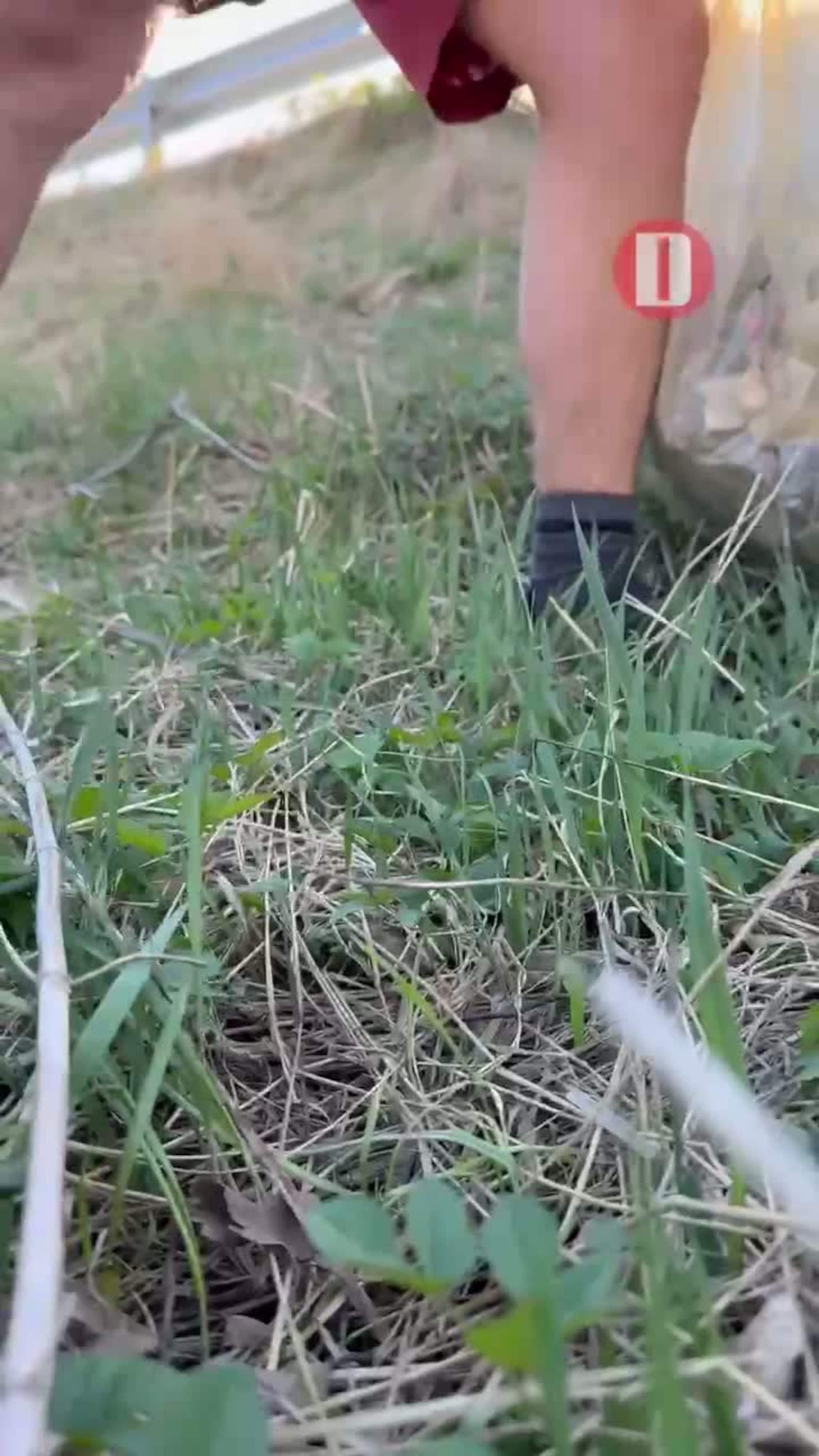 Tok et krafttak mot søppel ved Driva