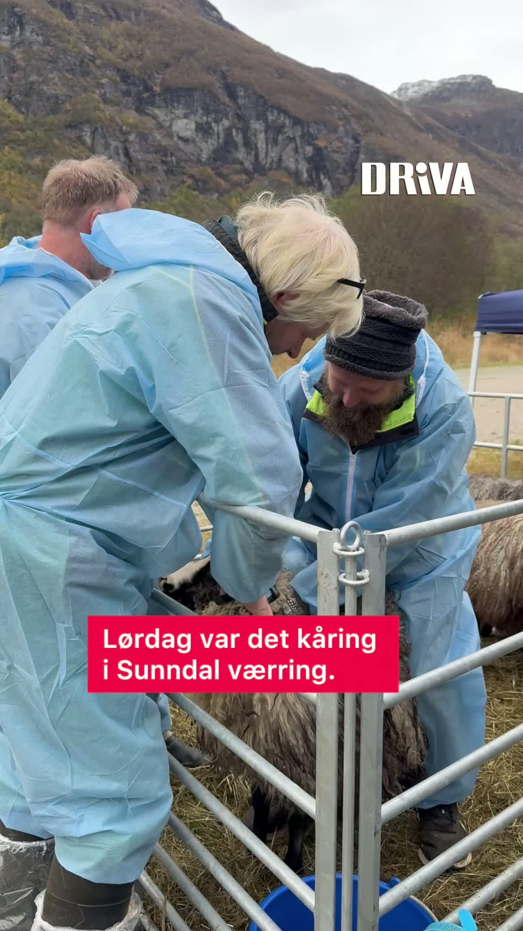 Lørdag var det kåring i Sunndal værring